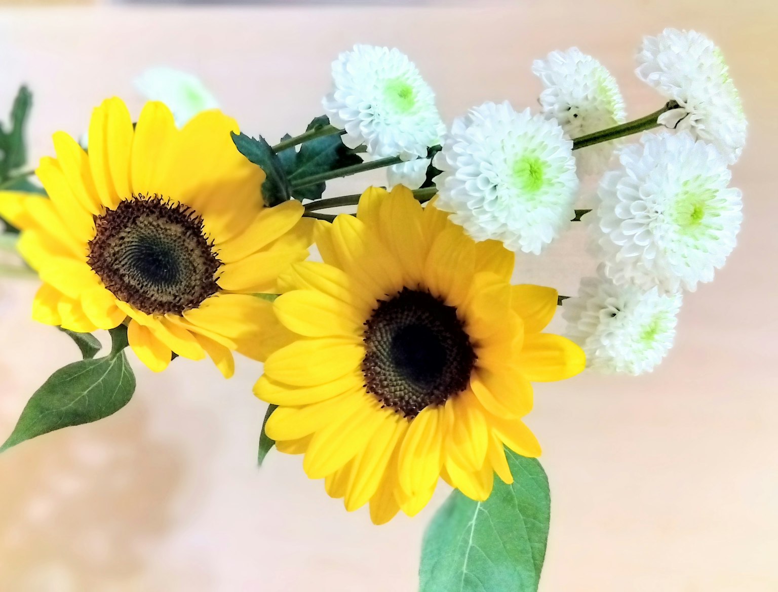 Ramo de girasoles amarillos y flores blancas
