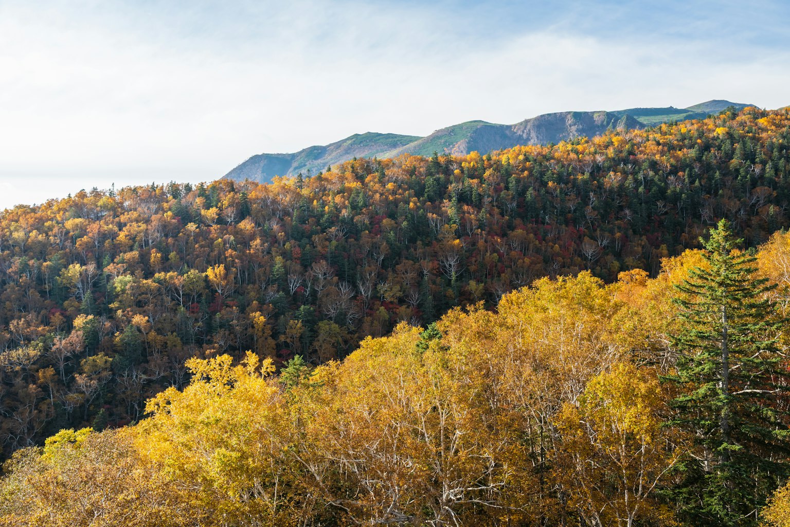 Scenic view of mountains covered in autumn colors with green and yellow trees