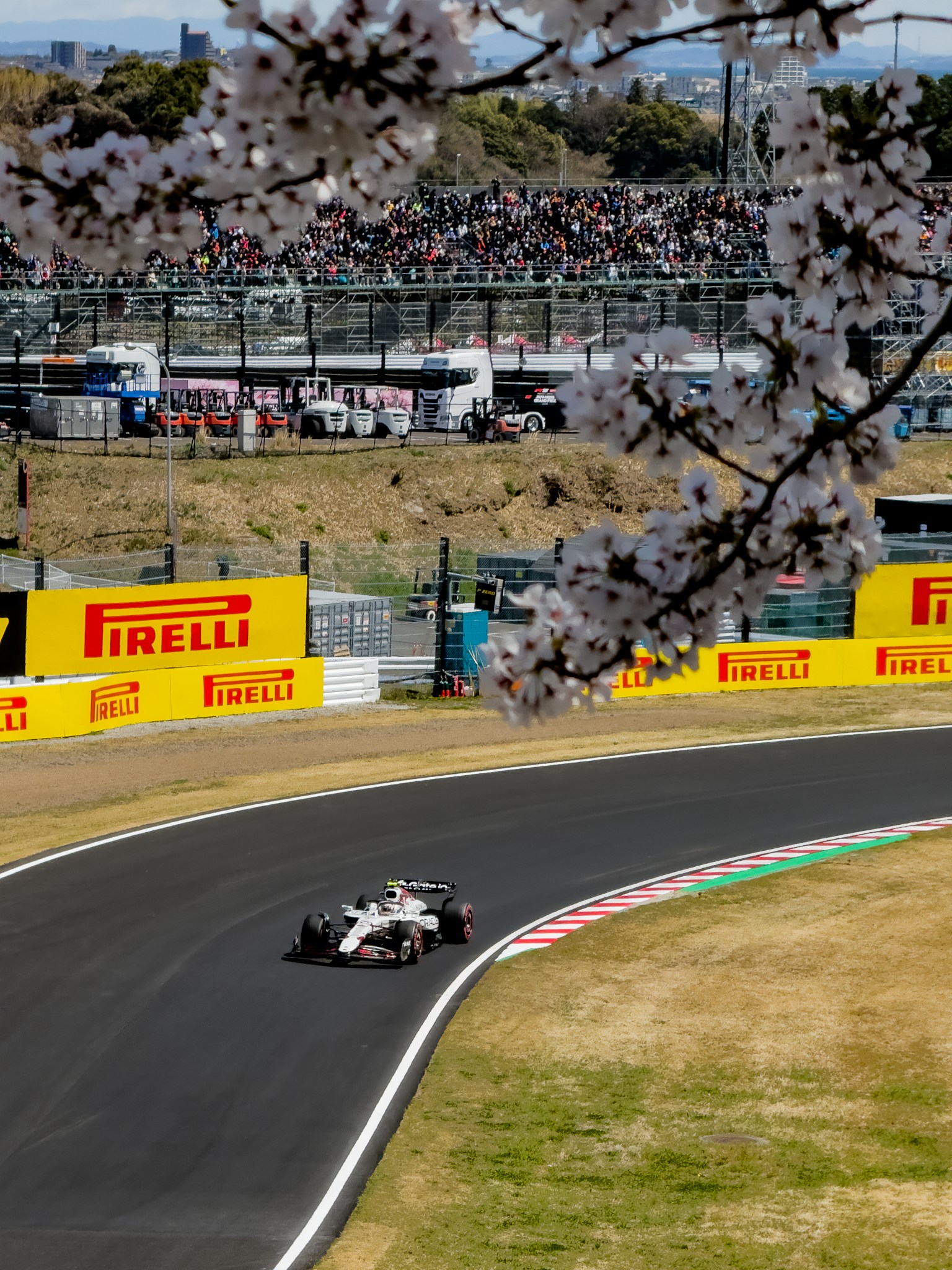 photo-xTFQvrai4v6tqlqEZHig-image