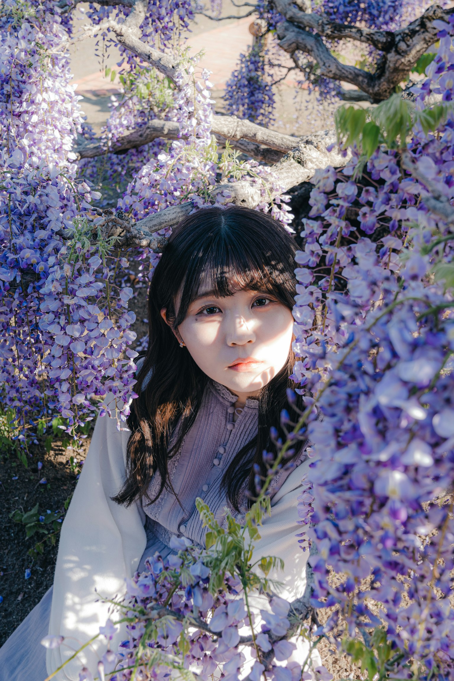 被紫色藤花包圍的女孩肖像