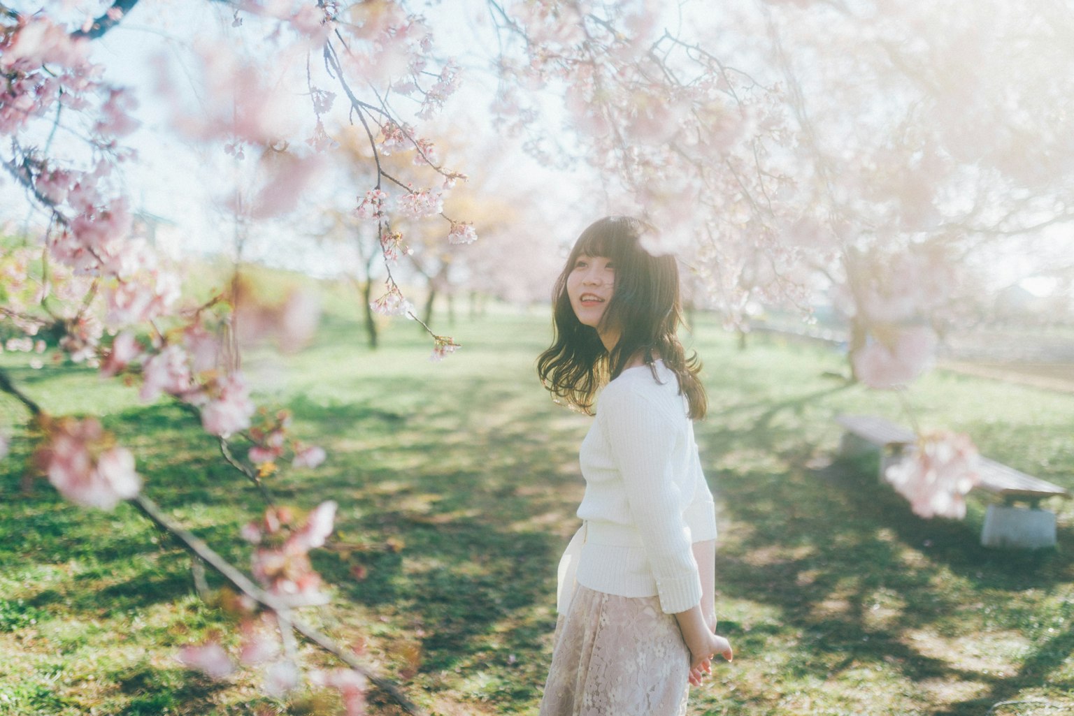 Wanita muda tersenyum di bawah pohon sakura di musim semi