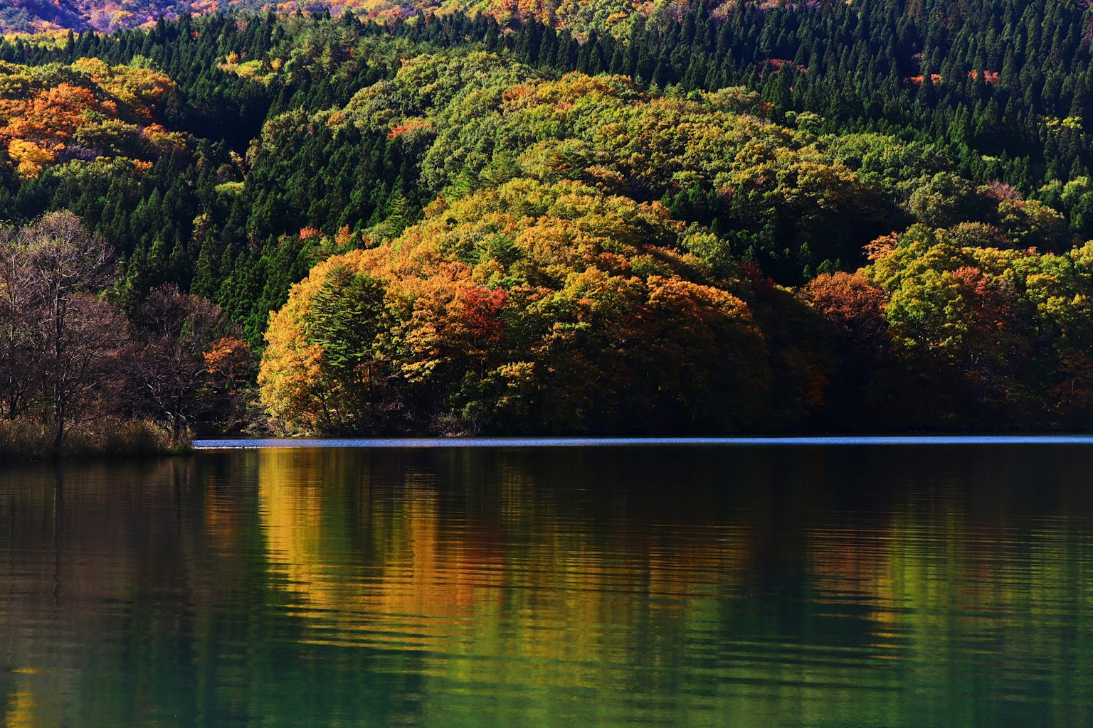湖と秋の色とりどりの木々の反映が美しい風景