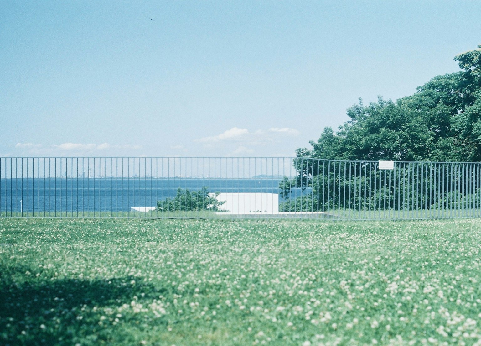 Landscape featuring a blue sea and green grass