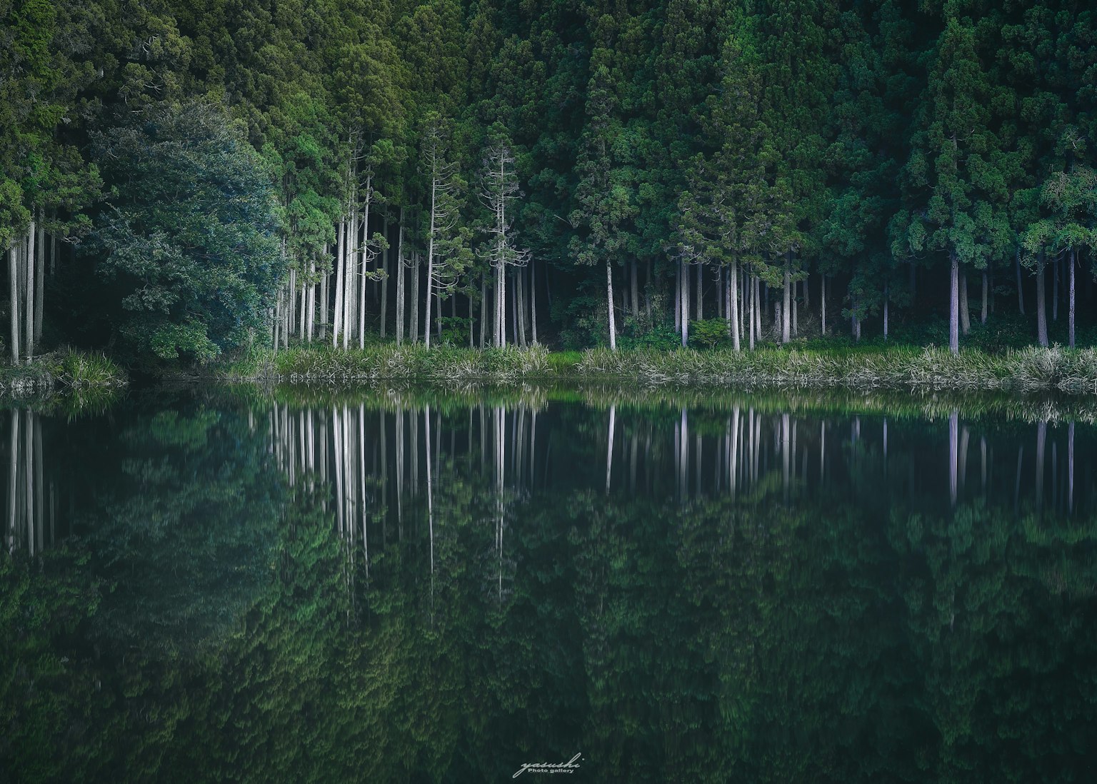 photo-xUBkvfMAPpewFAU5mt2M-image