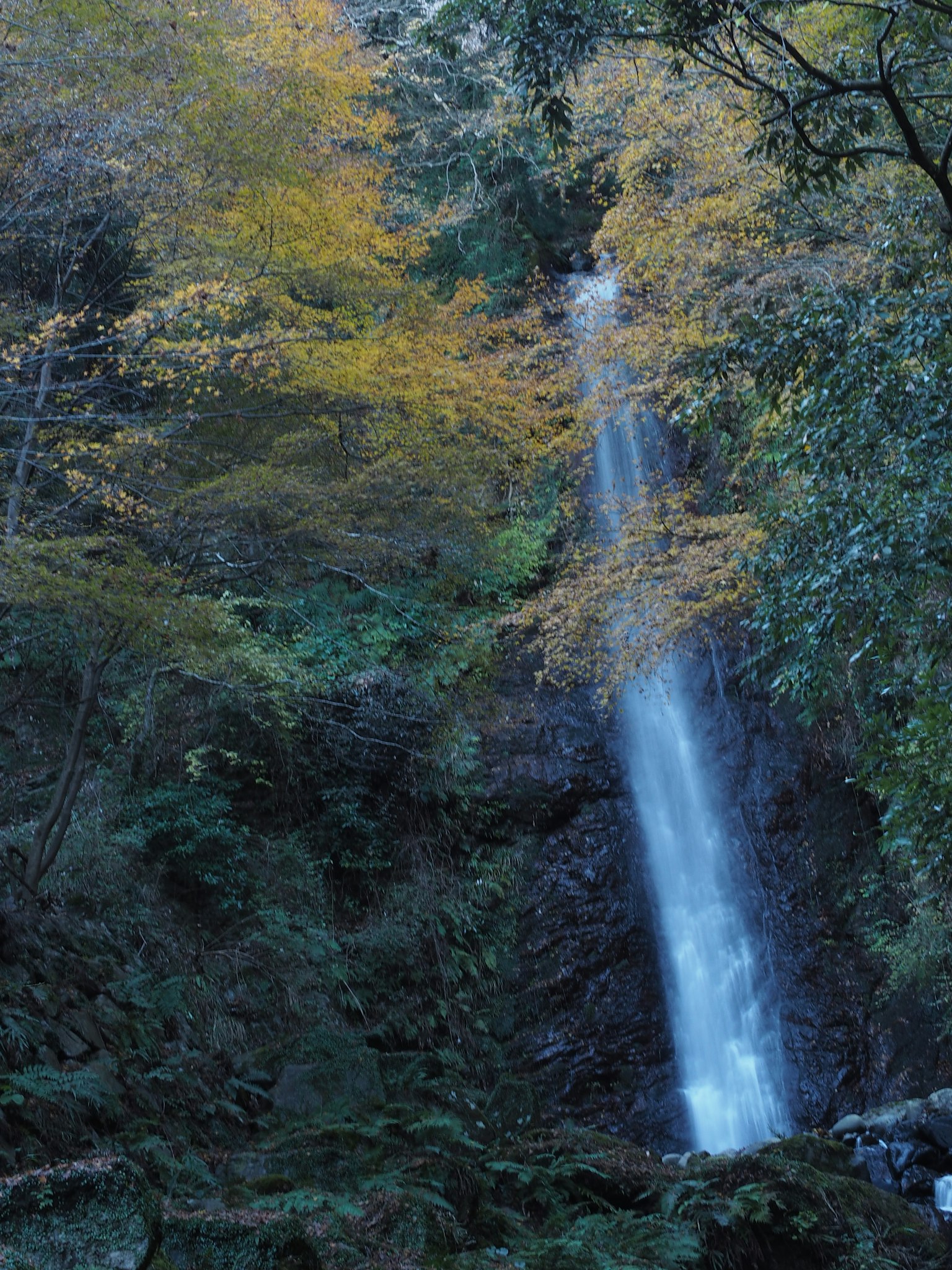 Air terjun yang indah dikelilingi oleh daun musim gugur dalam pengaturan alami