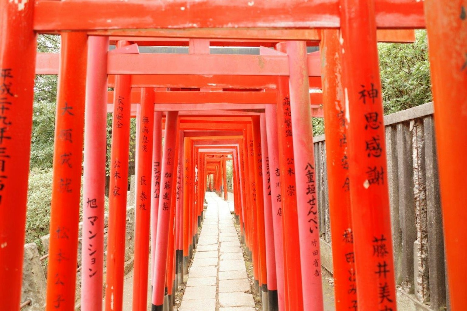 Jalan yang dikelilingi gerbang torii merah