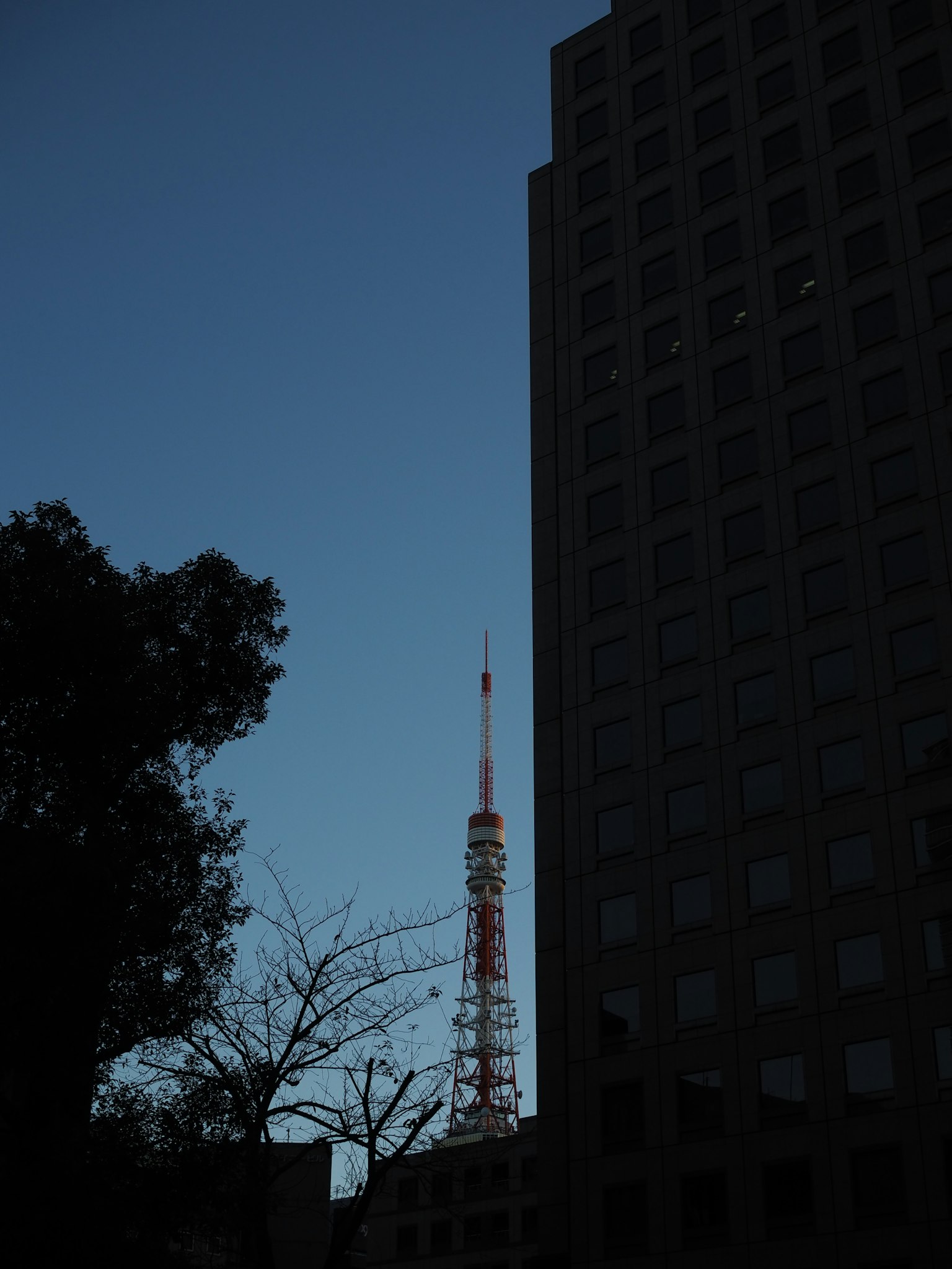 Torre de Tokio visible entre edificios al anochecer silueta
