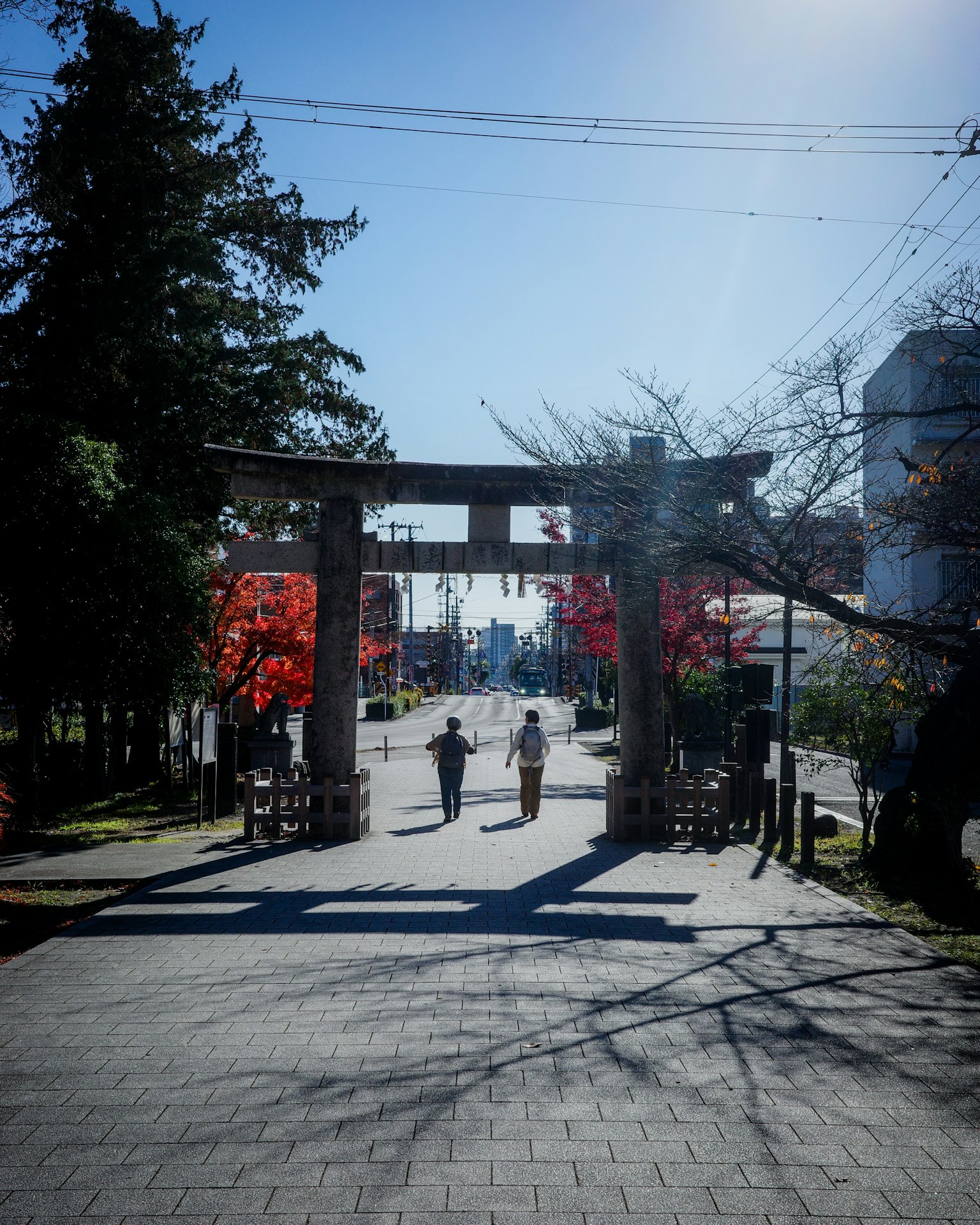Hai người đi bộ dưới cổng torii với lá mùa thu trong công viên