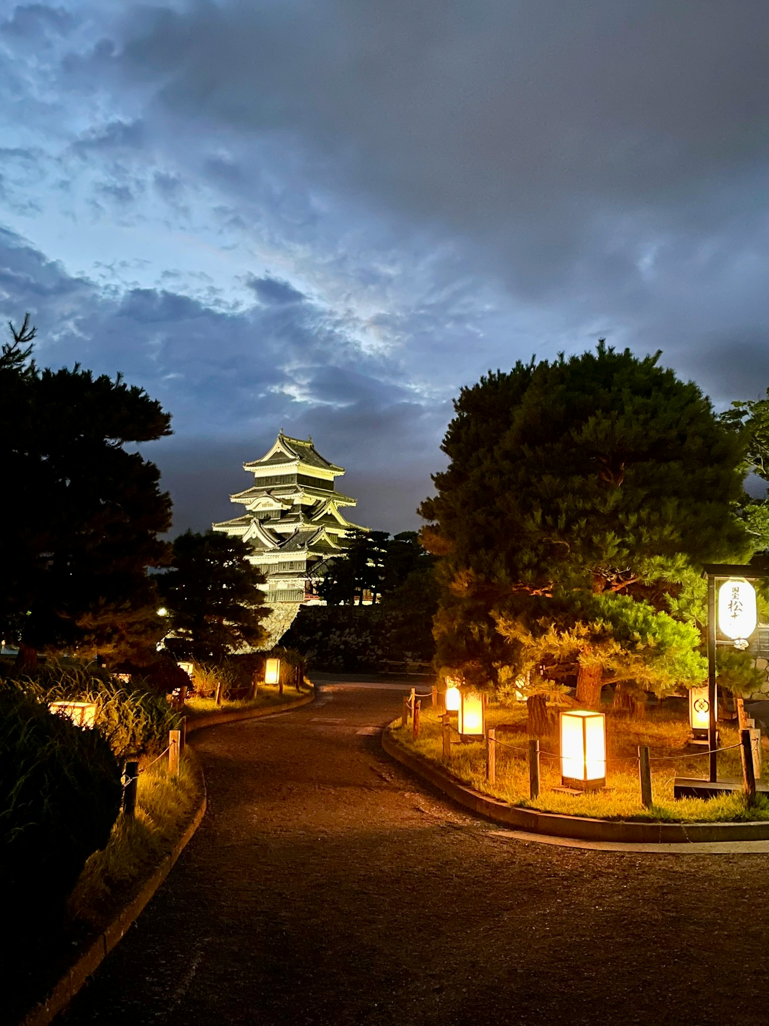 Scenic pathway in a park featuring a beautiful Japanese pagoda illuminated at night