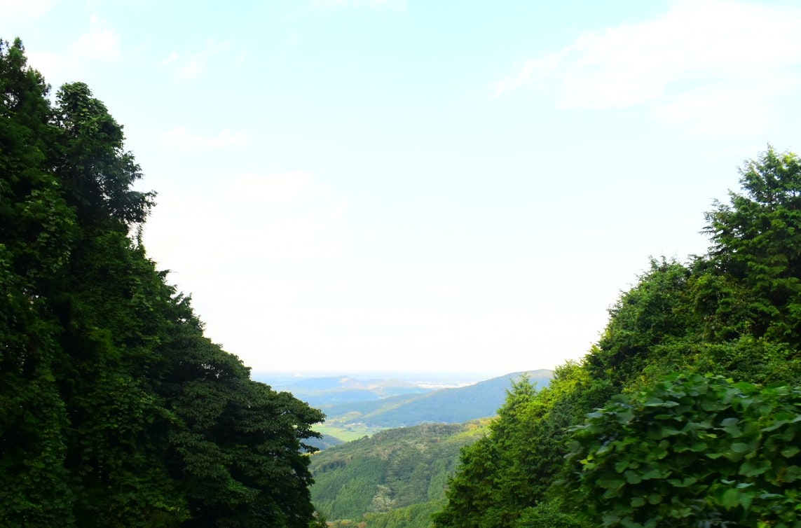 山の谷間に広がる緑の渓谷風景