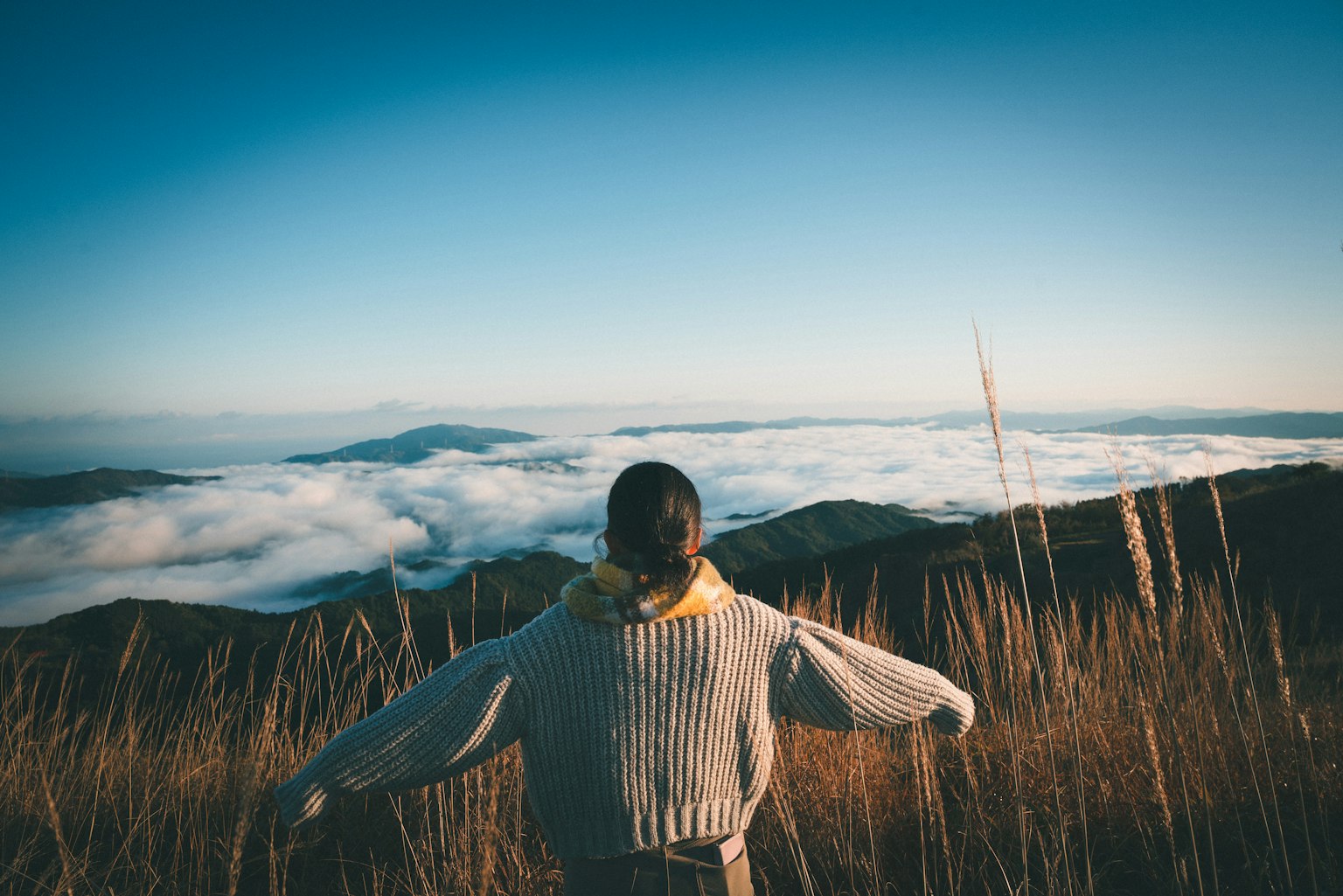 photo-xXJCShDKBfjKSvLxXkw2-image