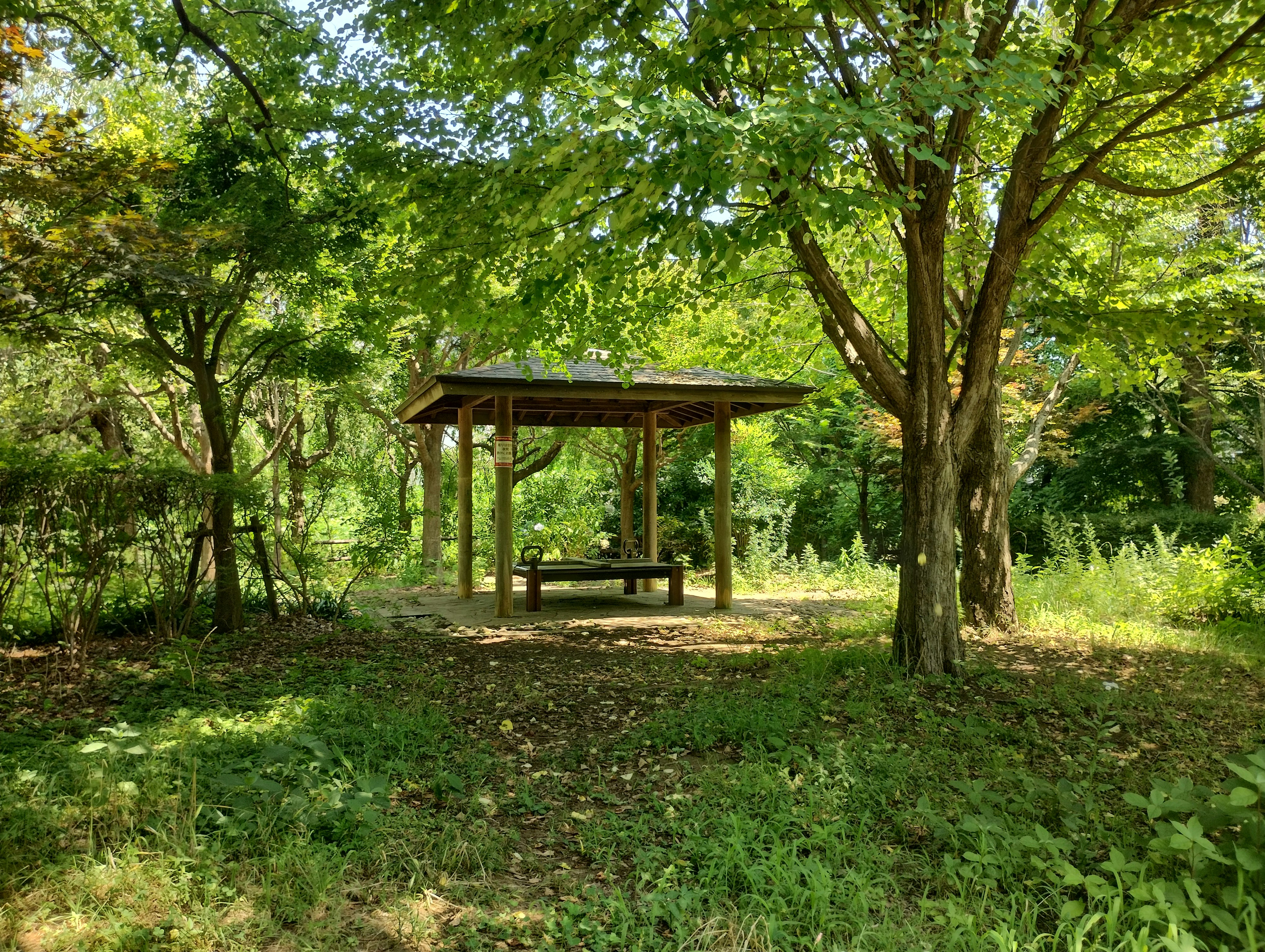 banco y refugio de descanso al aire libre rodeados de árboles