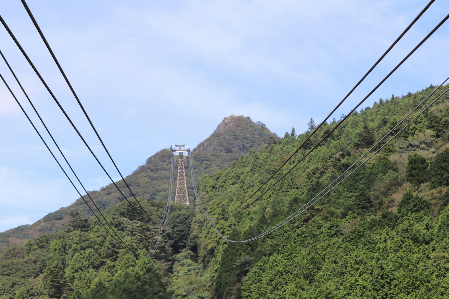 Scenic view of a cable car ascending a mountain surrounded by lush greenery