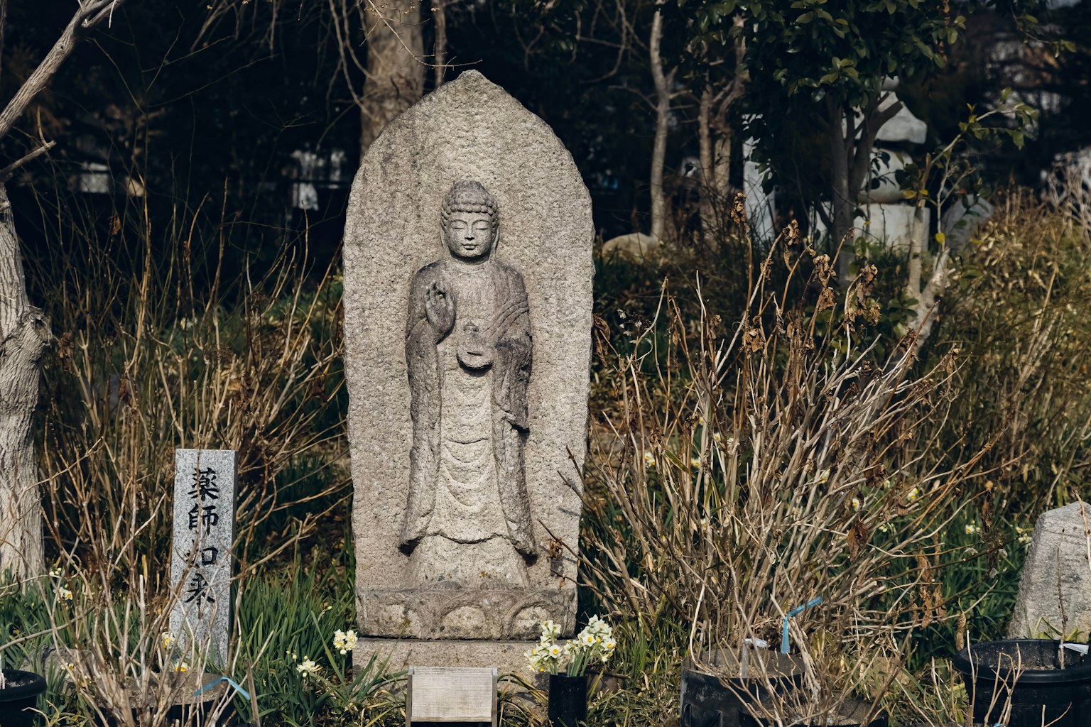 石佛像被草木環繞