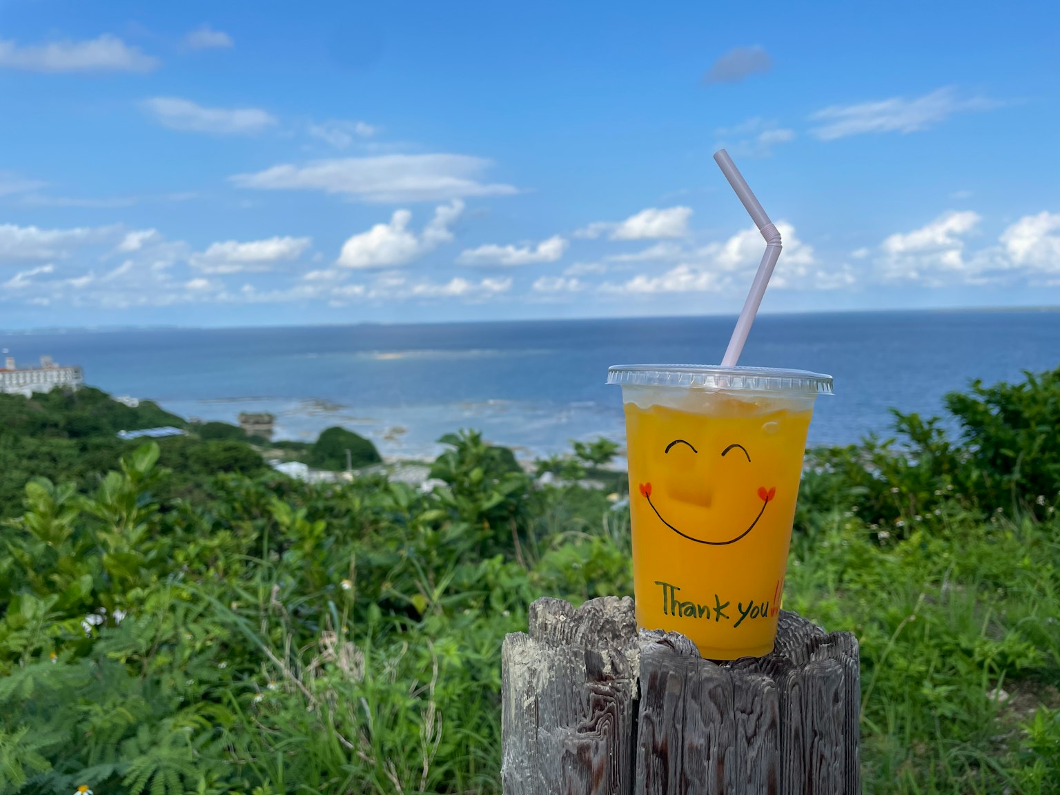 Un bicchiere sorridente con vista sull'oceano sullo sfondo