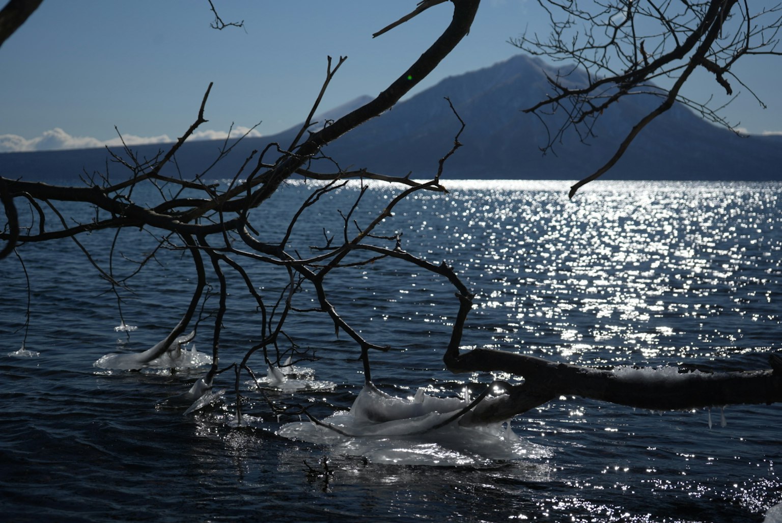 Silhouette di rami d'albero su un lago luccicante con una montagna in lontananza