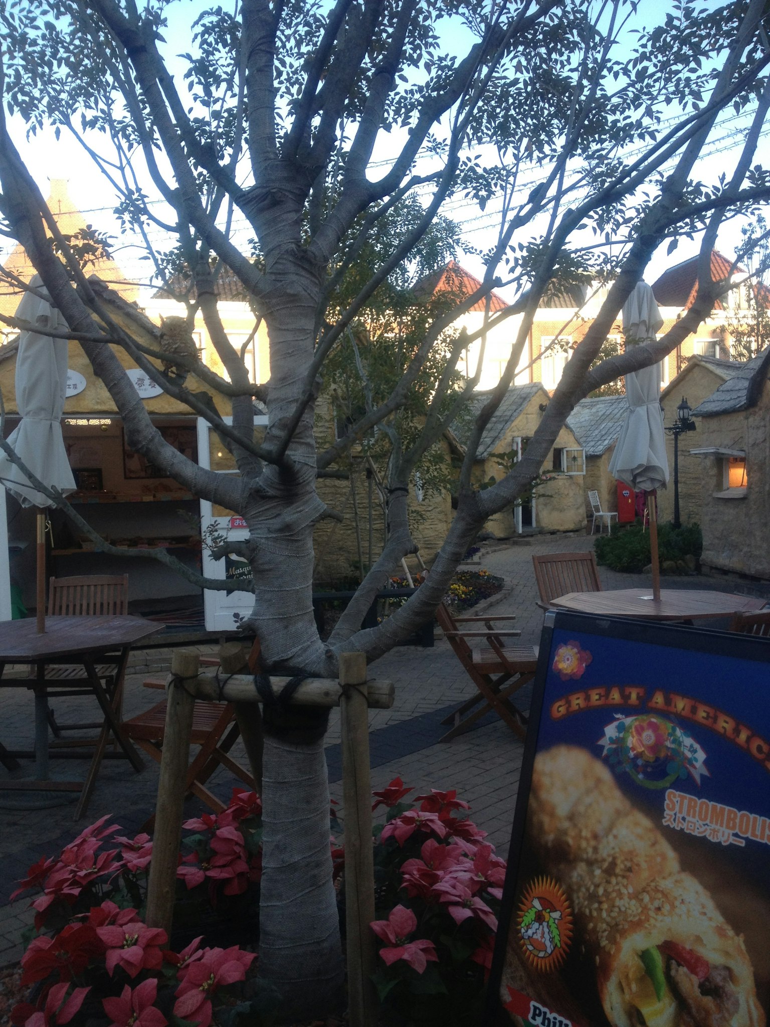 Espace de restauration extérieur avec un arbre, des tables et des chaises, panneau de menu visible