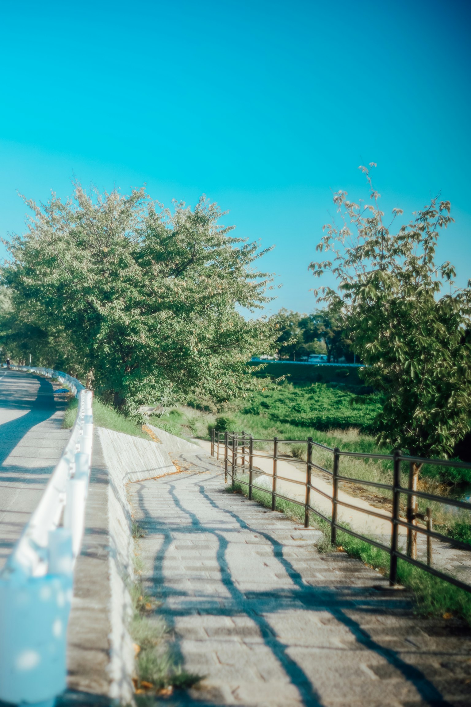 Sidewalk with trees under a clear blue sky