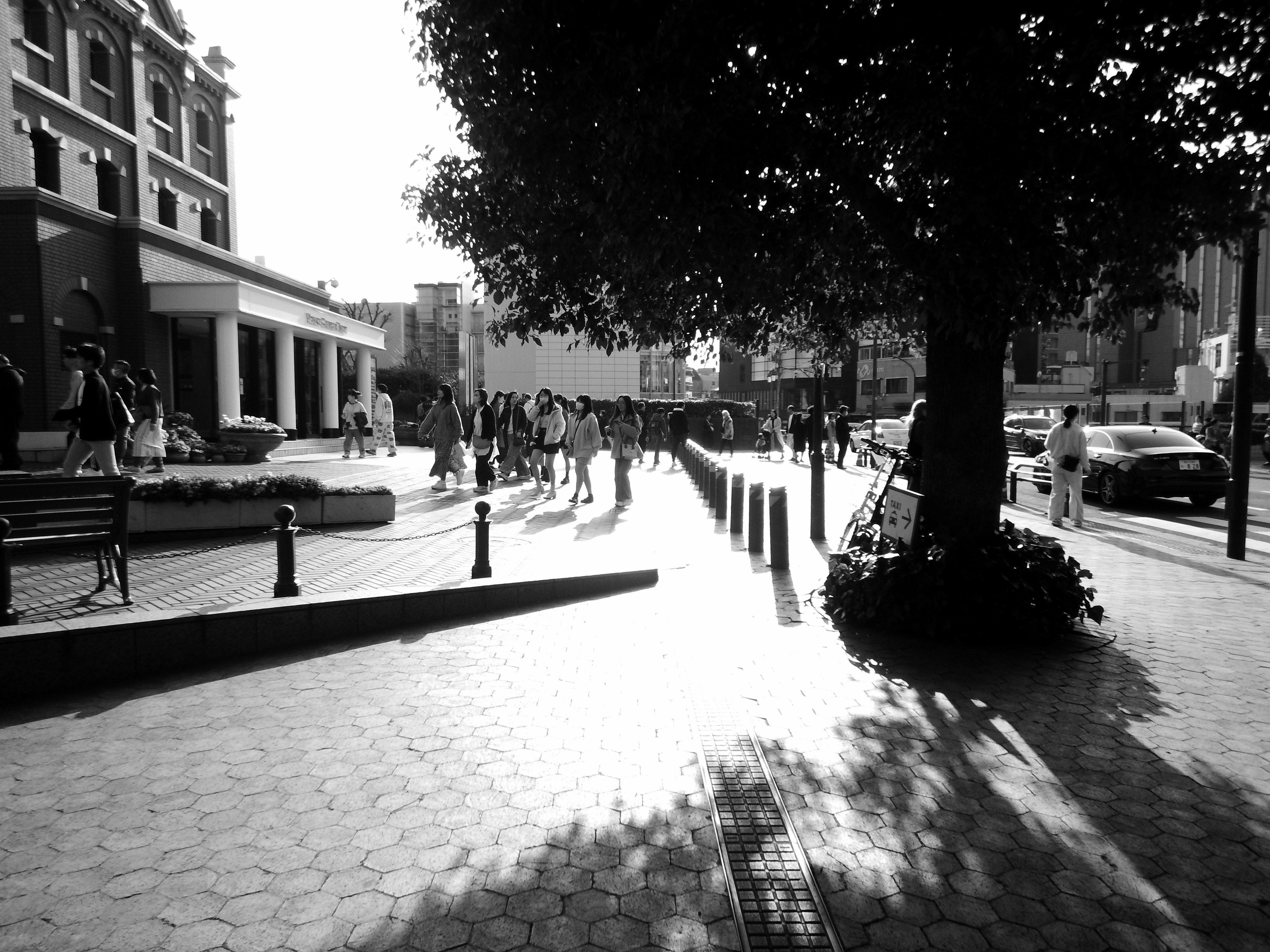 Ebisu Garden Place tree-lined walkway with pedestrians