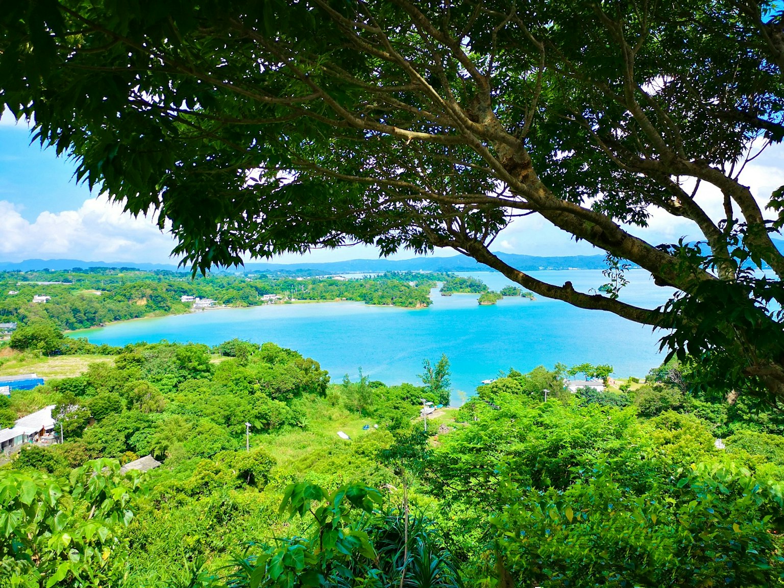 Scenic view of a blue lake surrounded by lush greenery and trees