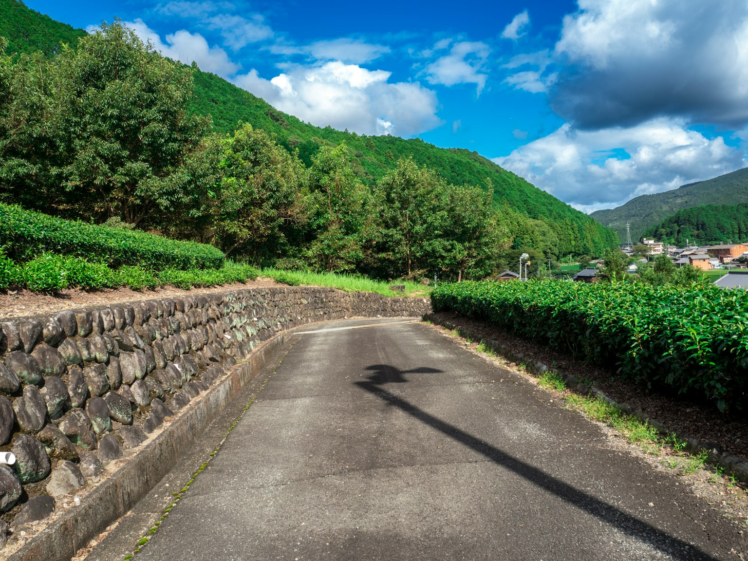 Camino pavimentado rodeado de colinas verdes y cielo azul