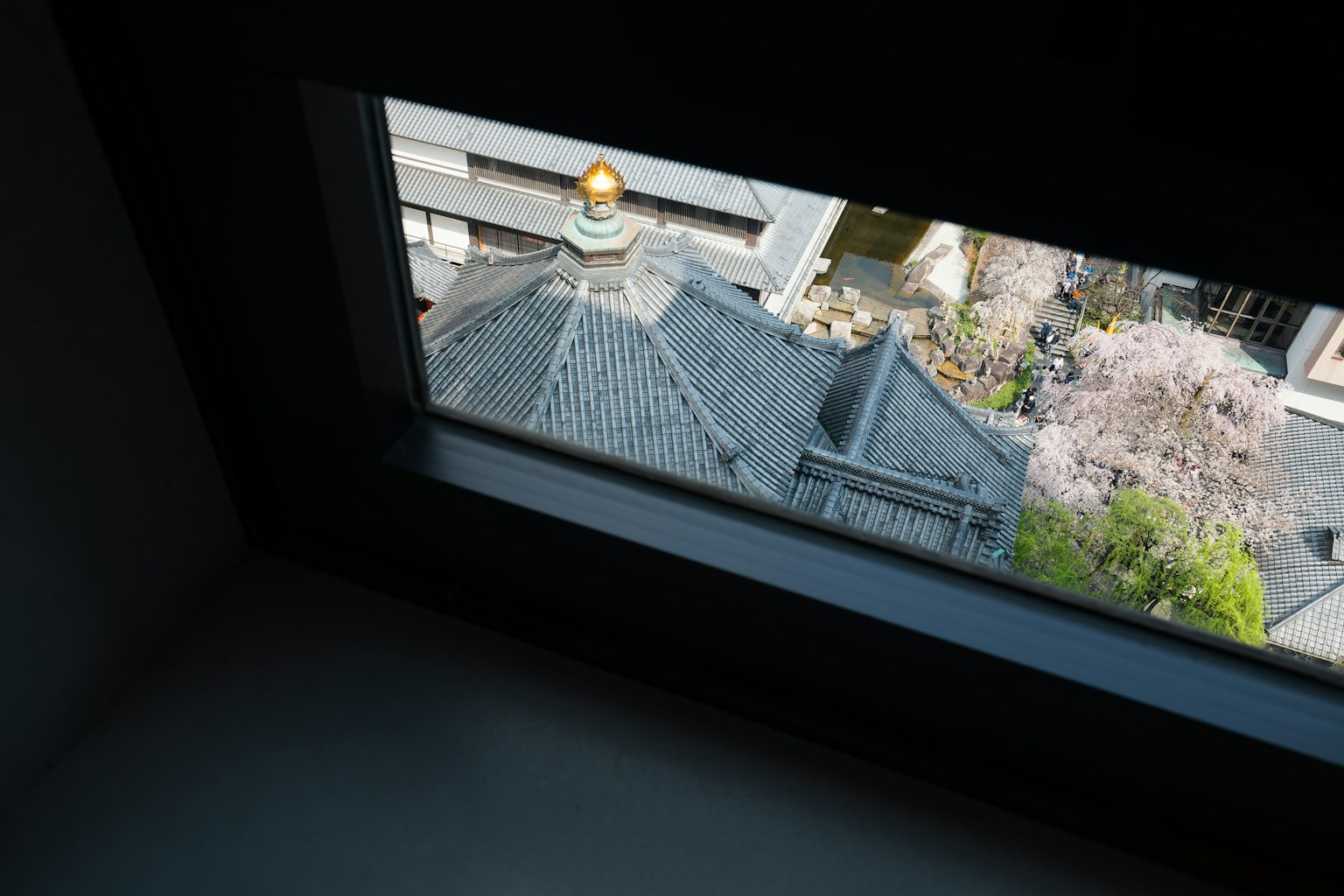 从窗户看出去的屋顶和樱花树