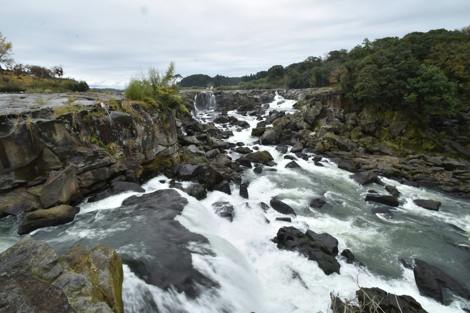 Acqua che scorre tra le rocce con alberi verdi sullo sfondo