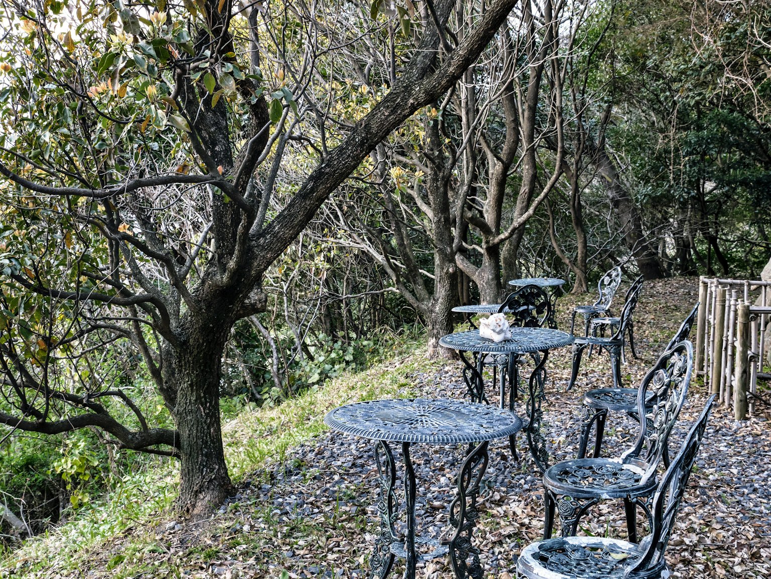 Ruhige Caféterrasse umgeben von Bäumen mit Tischen und Stühlen