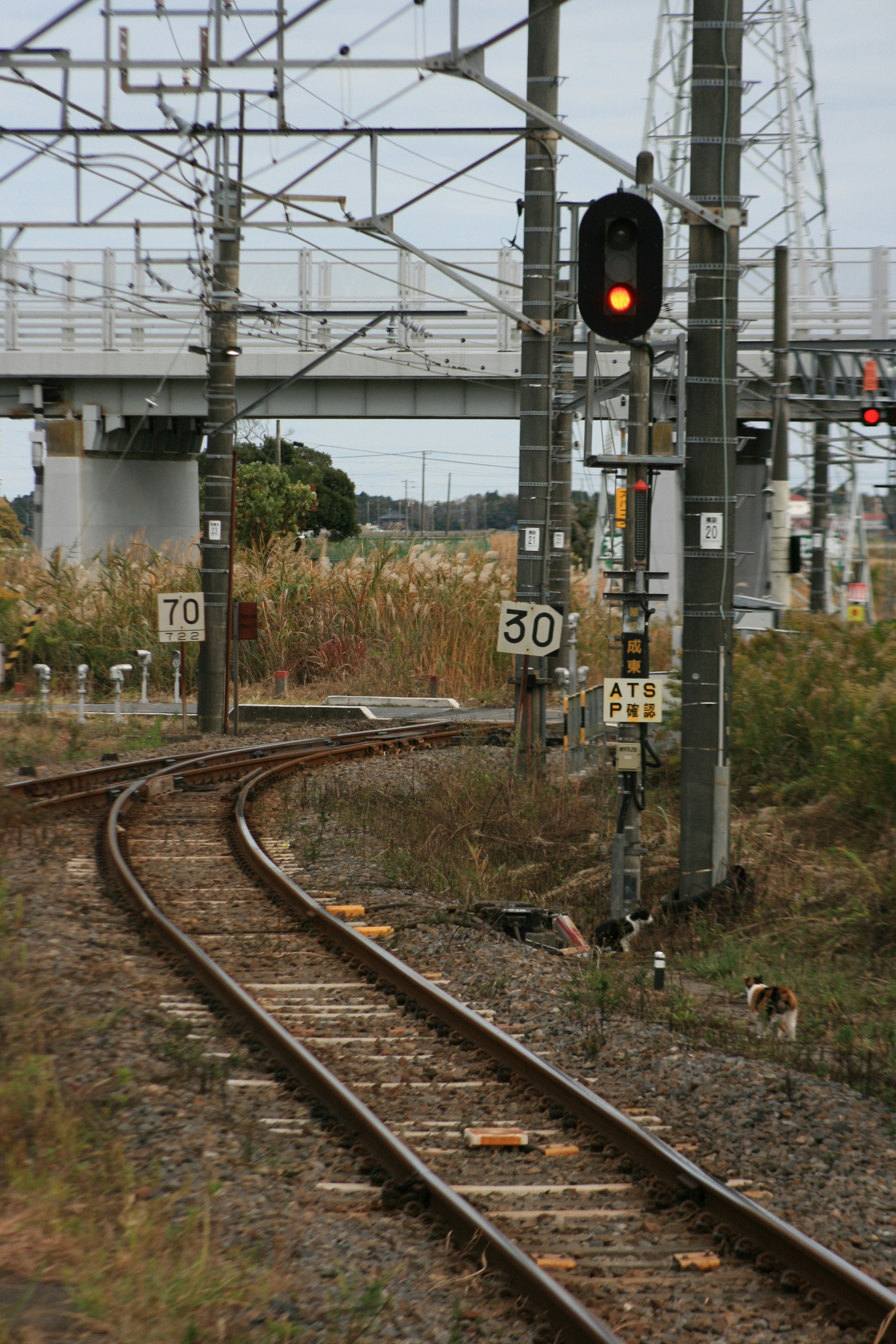 道岔附近的鐵路號誌與架空電纜