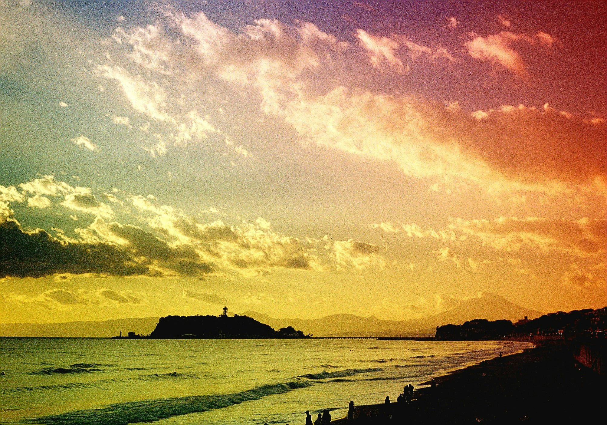 photo-xcUZsuacJsF1S1TforCq-image