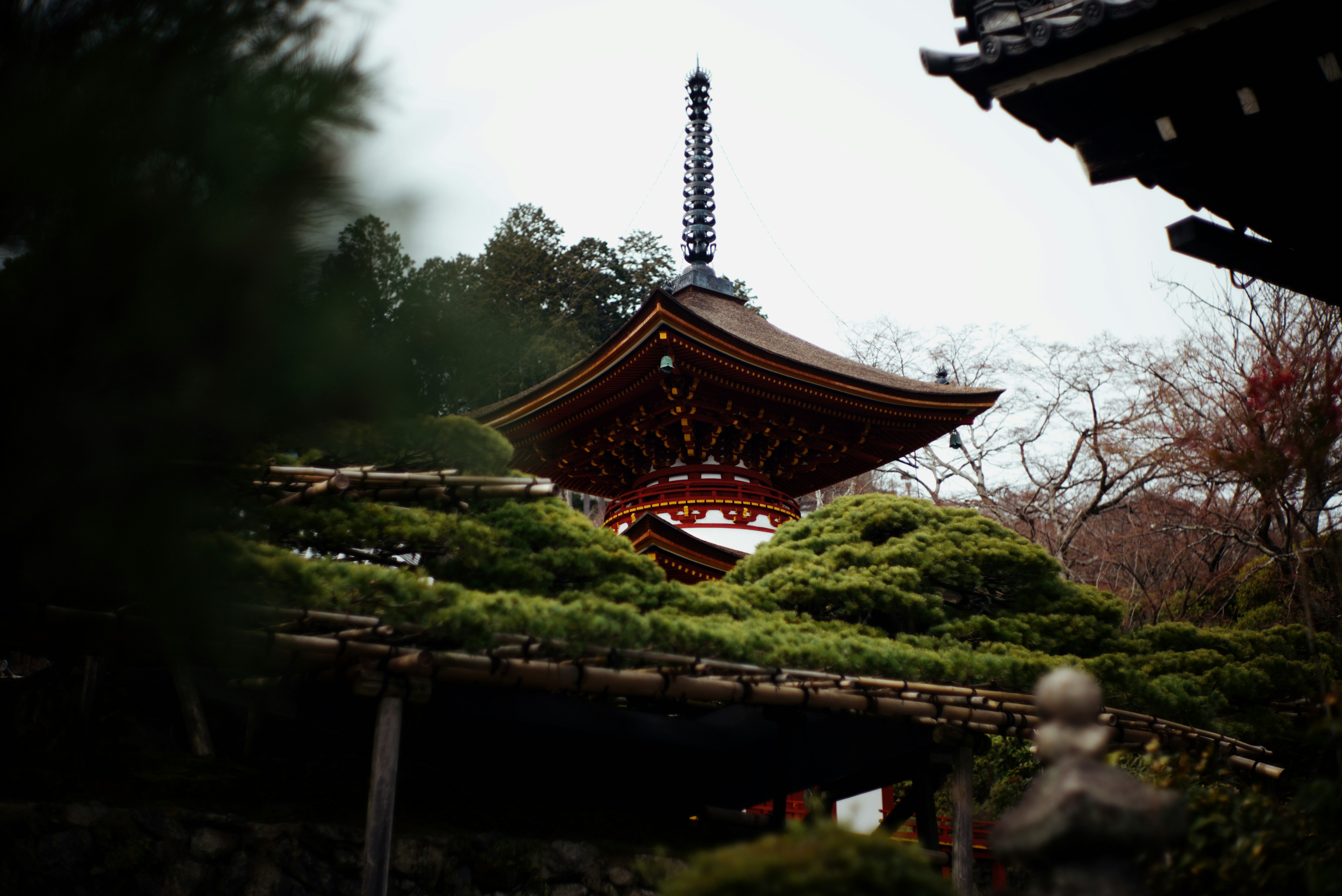 京都・善峯寺の五重塔と庭園の景観