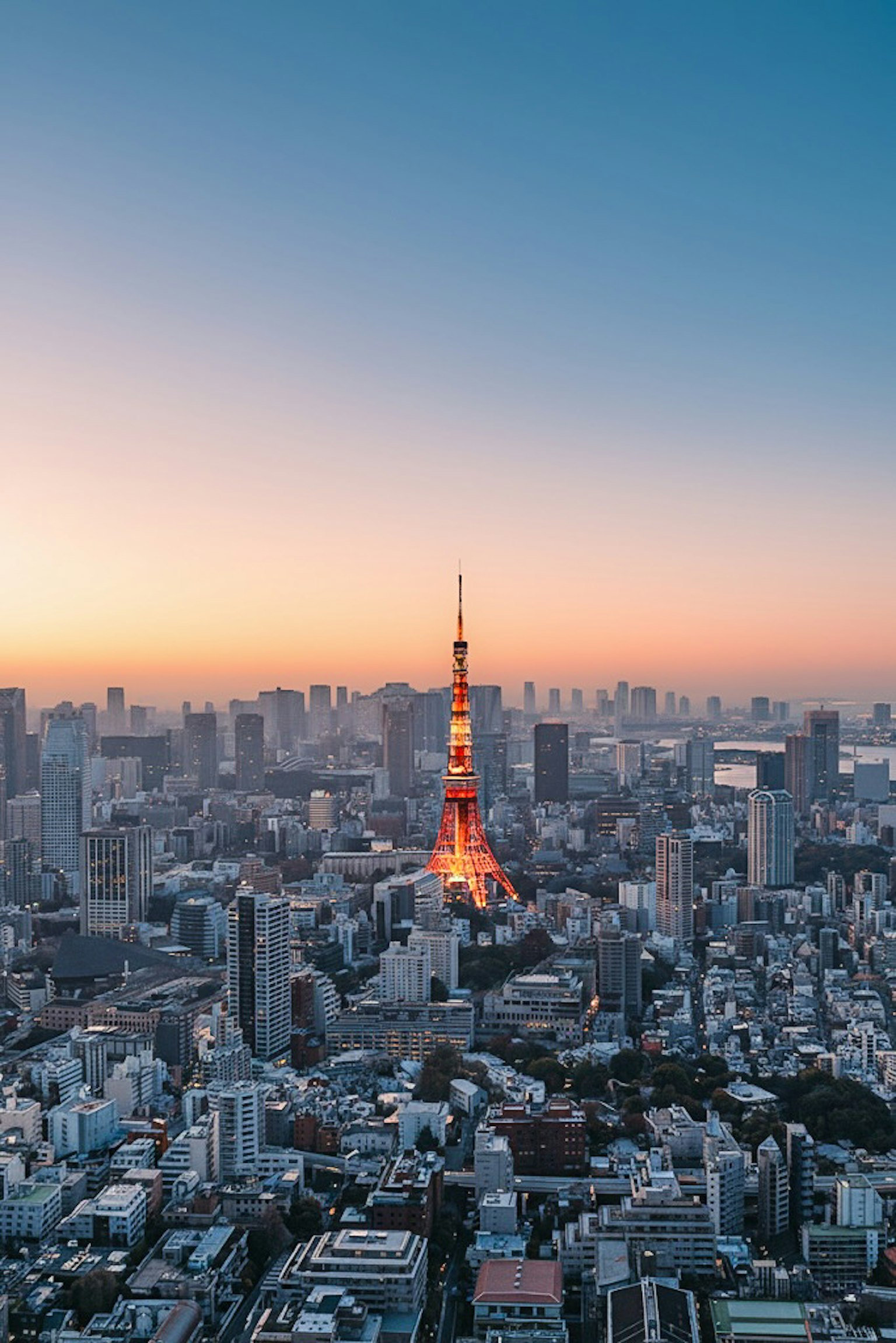 東京タワーが夕暮れの空に映える都市の風景