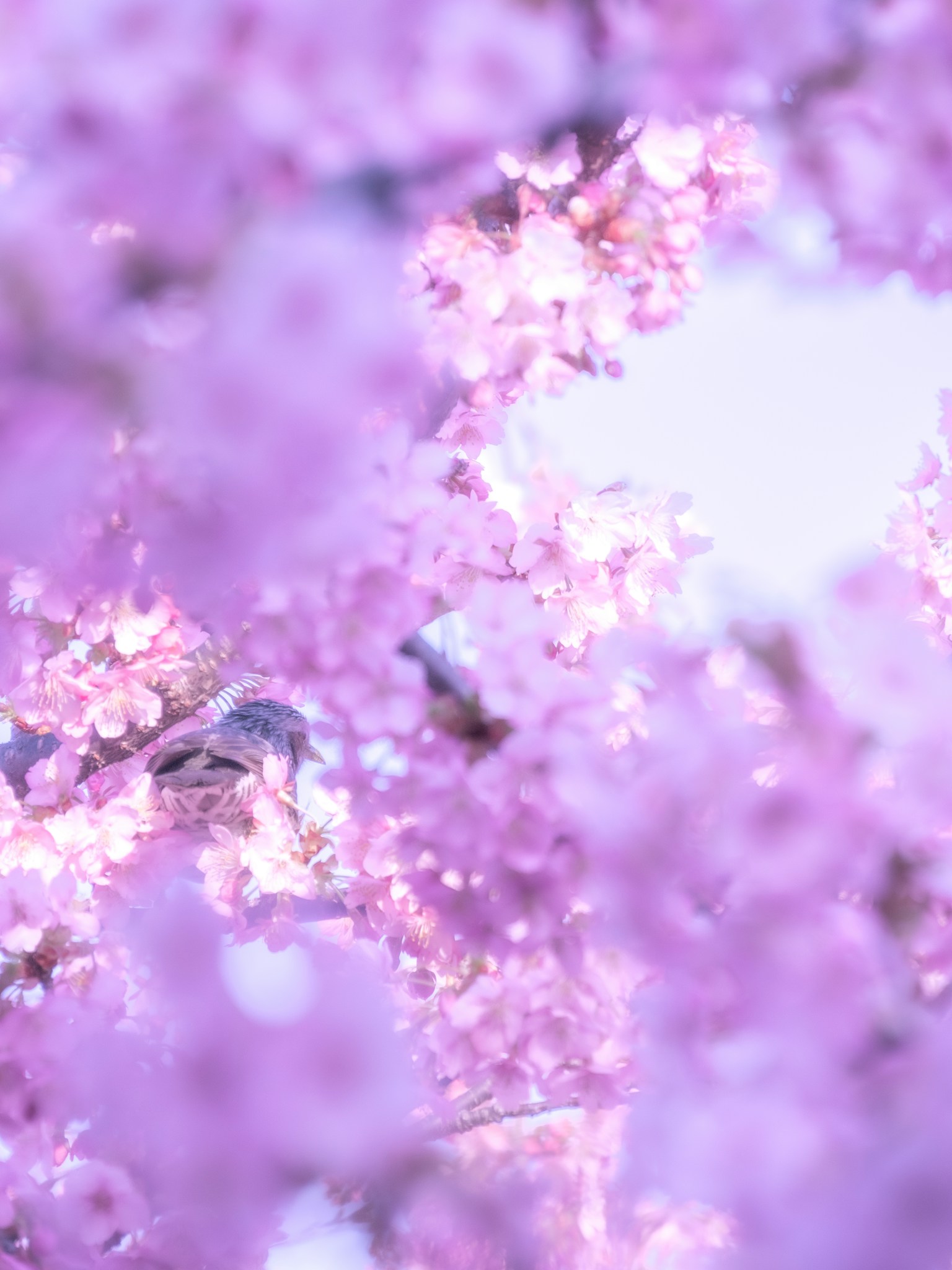 photo-xcxXPrKjJvTuVIBBEspa-image