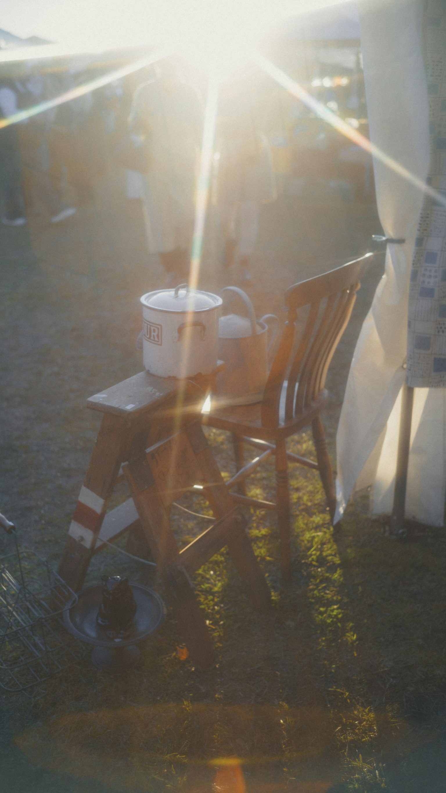 日差しの中に置かれた木製の椅子とバケツのある風景