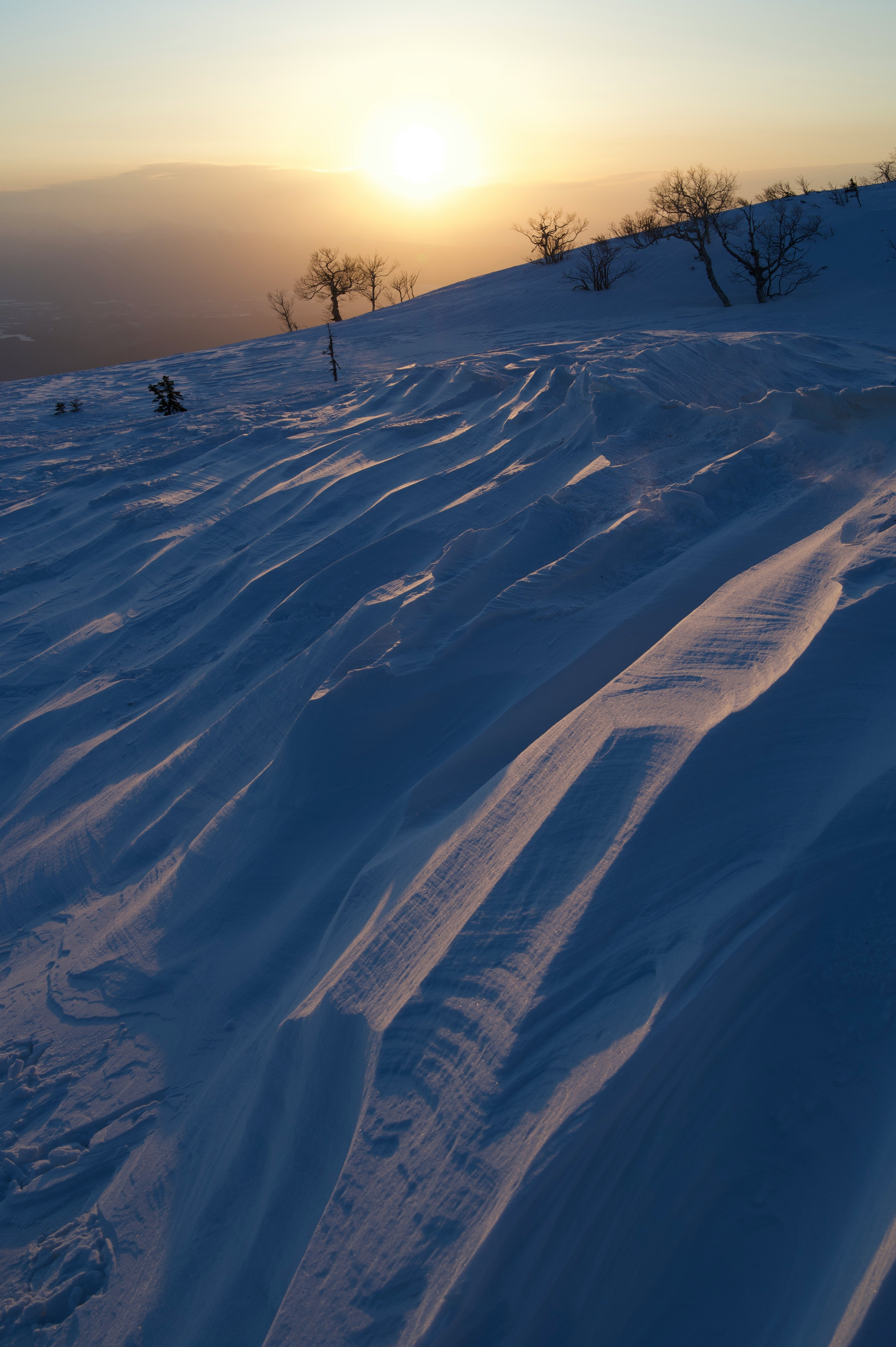 雪原を走るトラックのある山の斜面