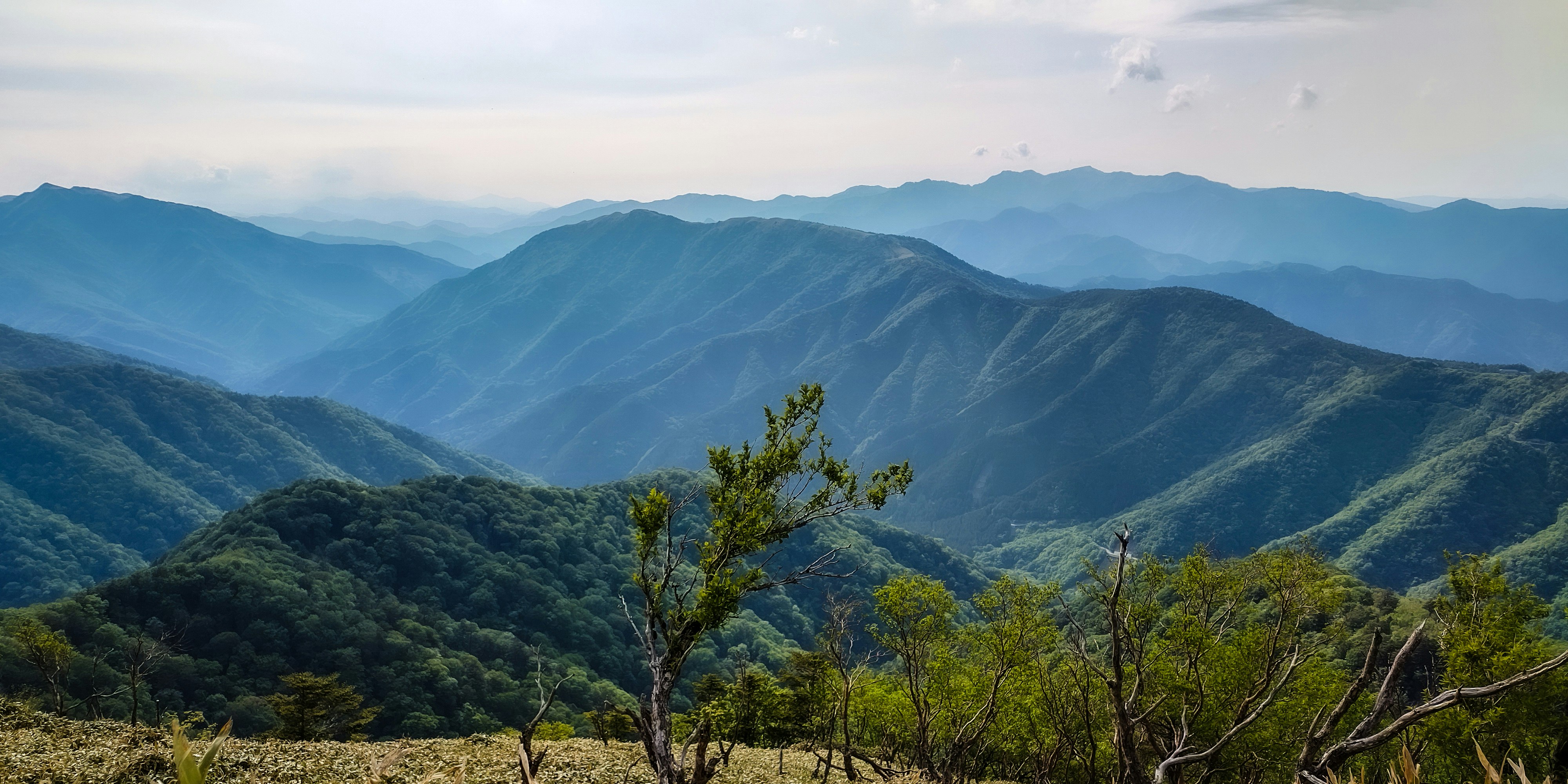 徳島県三好市の剣山周辺から望む新緑の山並み