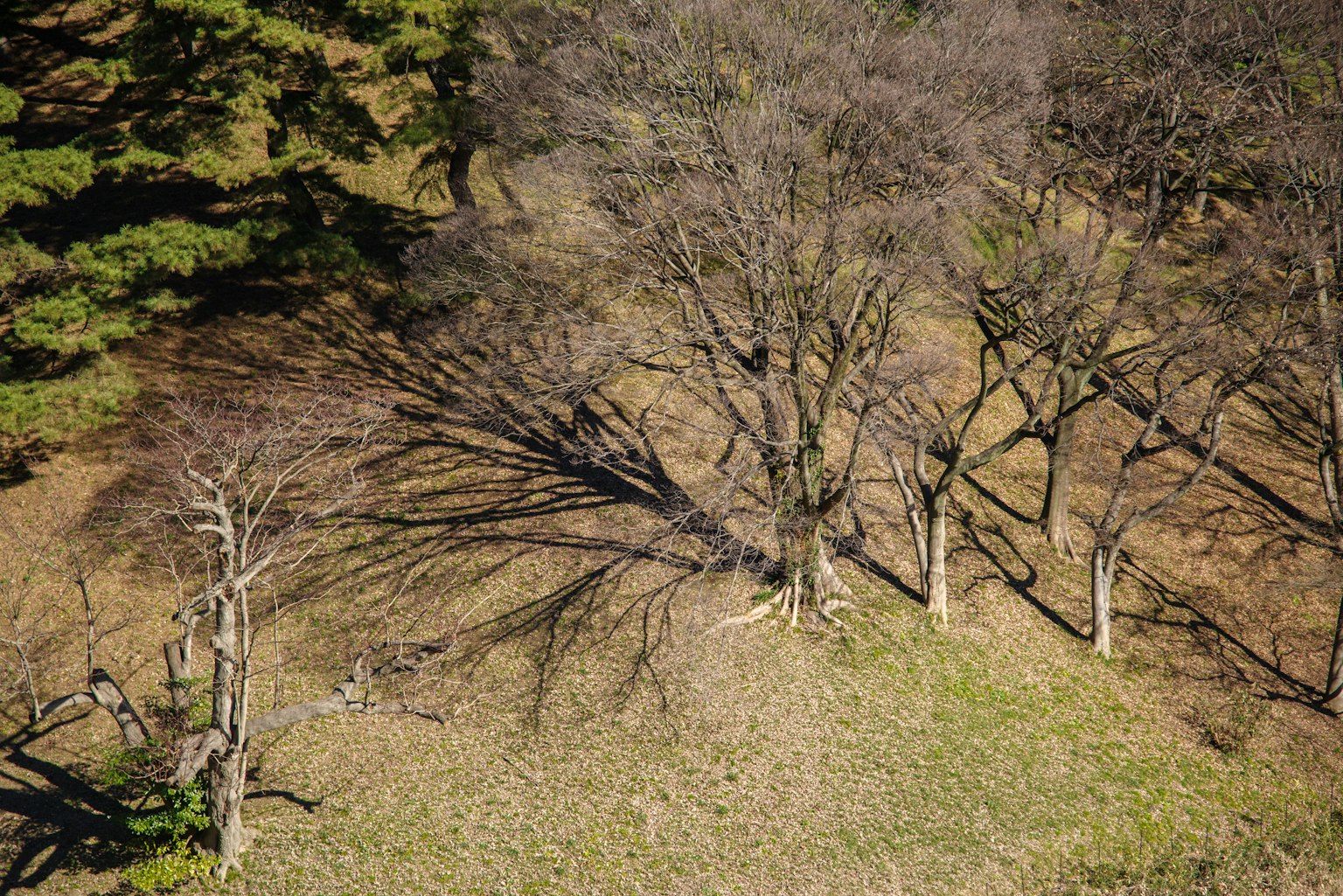 photo-xf997fvNOHwbXmfVC47q-image