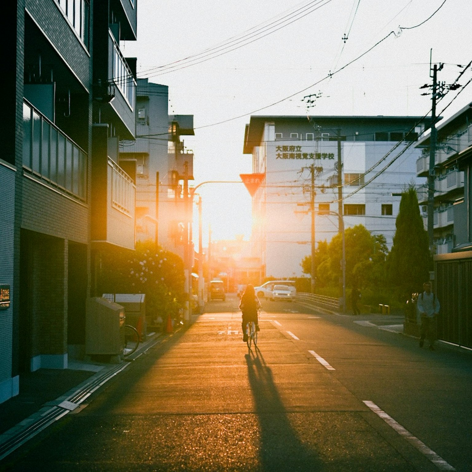 Person riding a bicycle on a street at sunset with buildings in the background