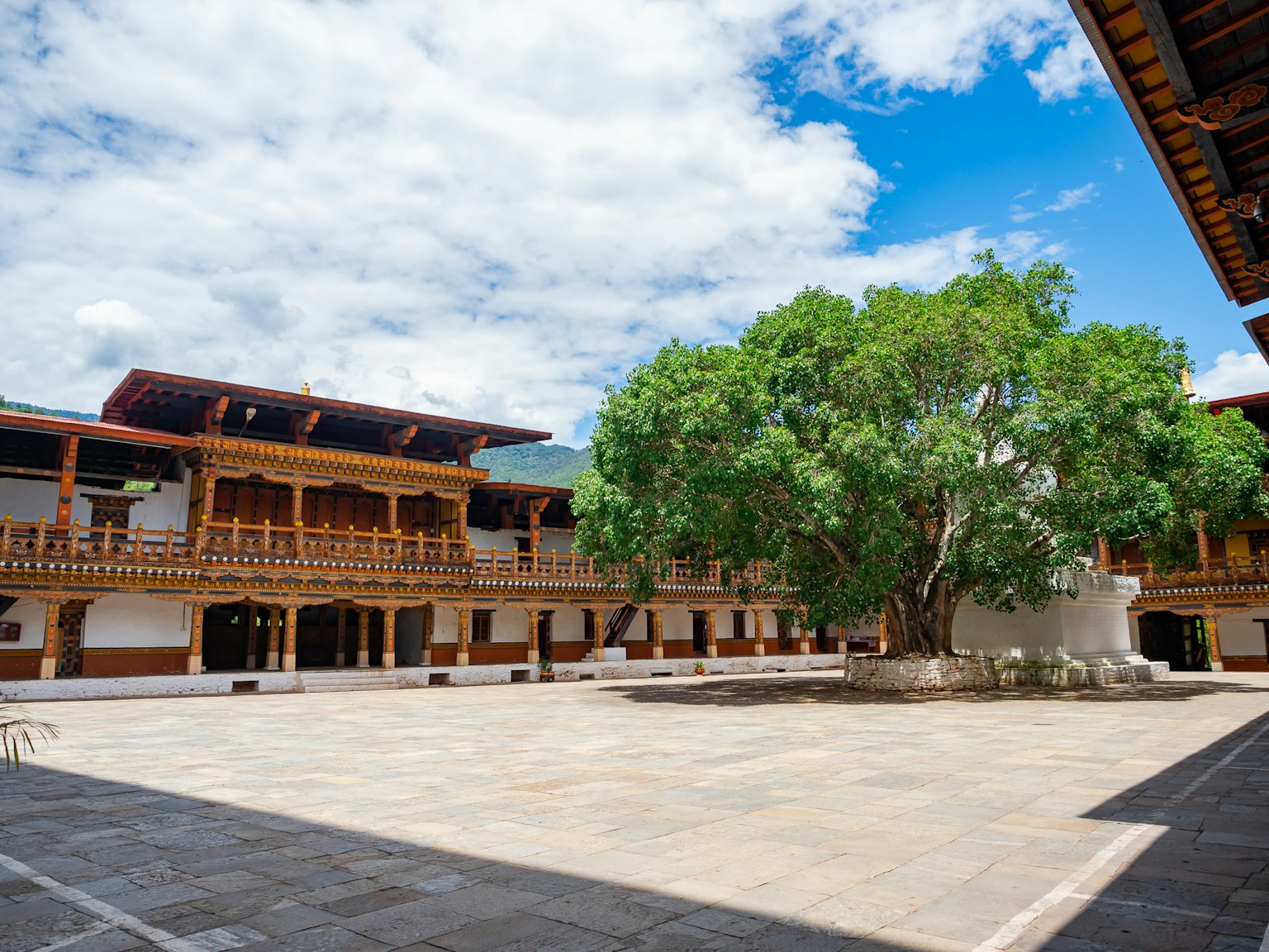 Edificio tradicional con un amplio patio y un gran árbol