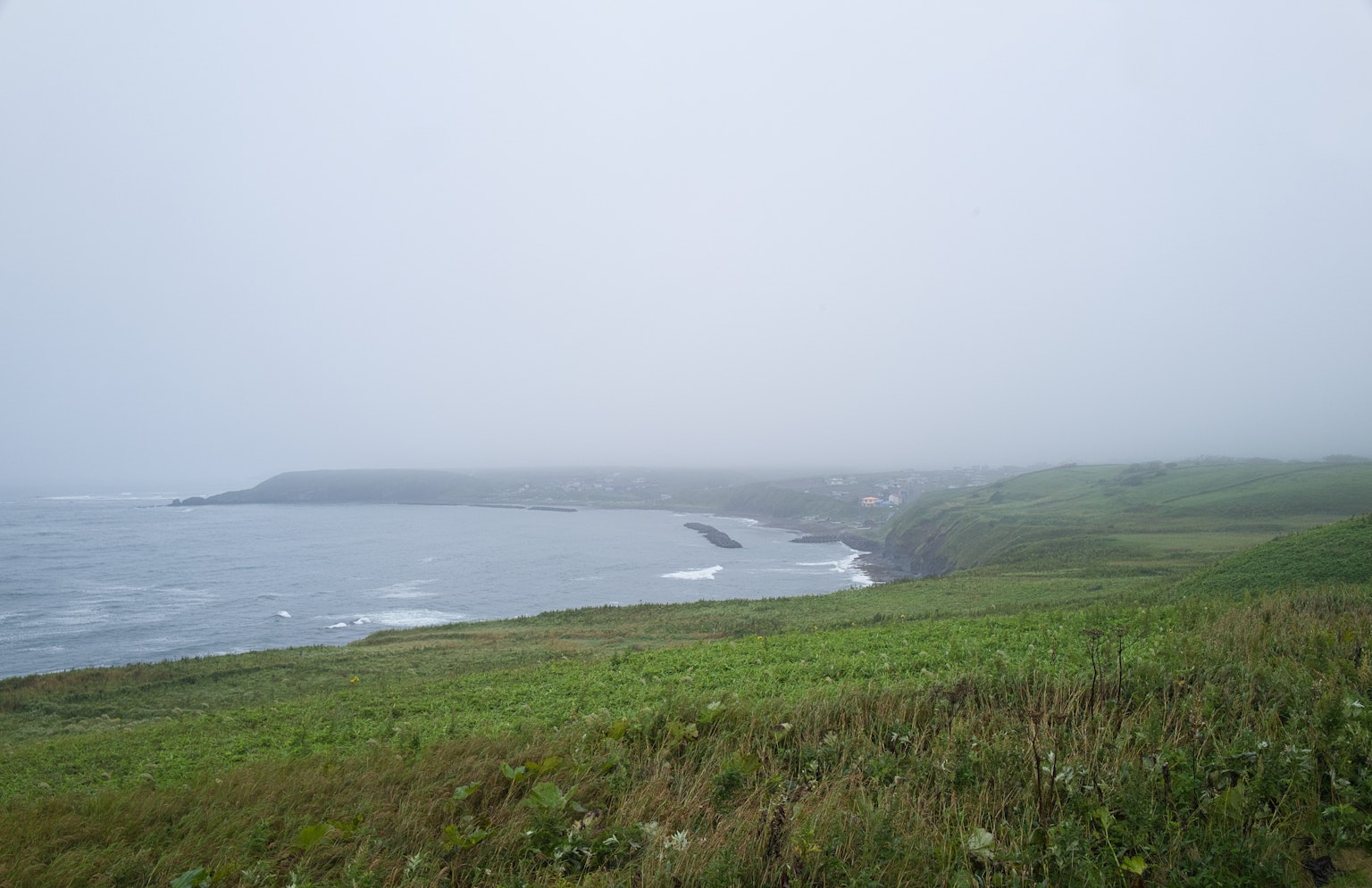 霧氣瀰漫的海岸線和綠色草原