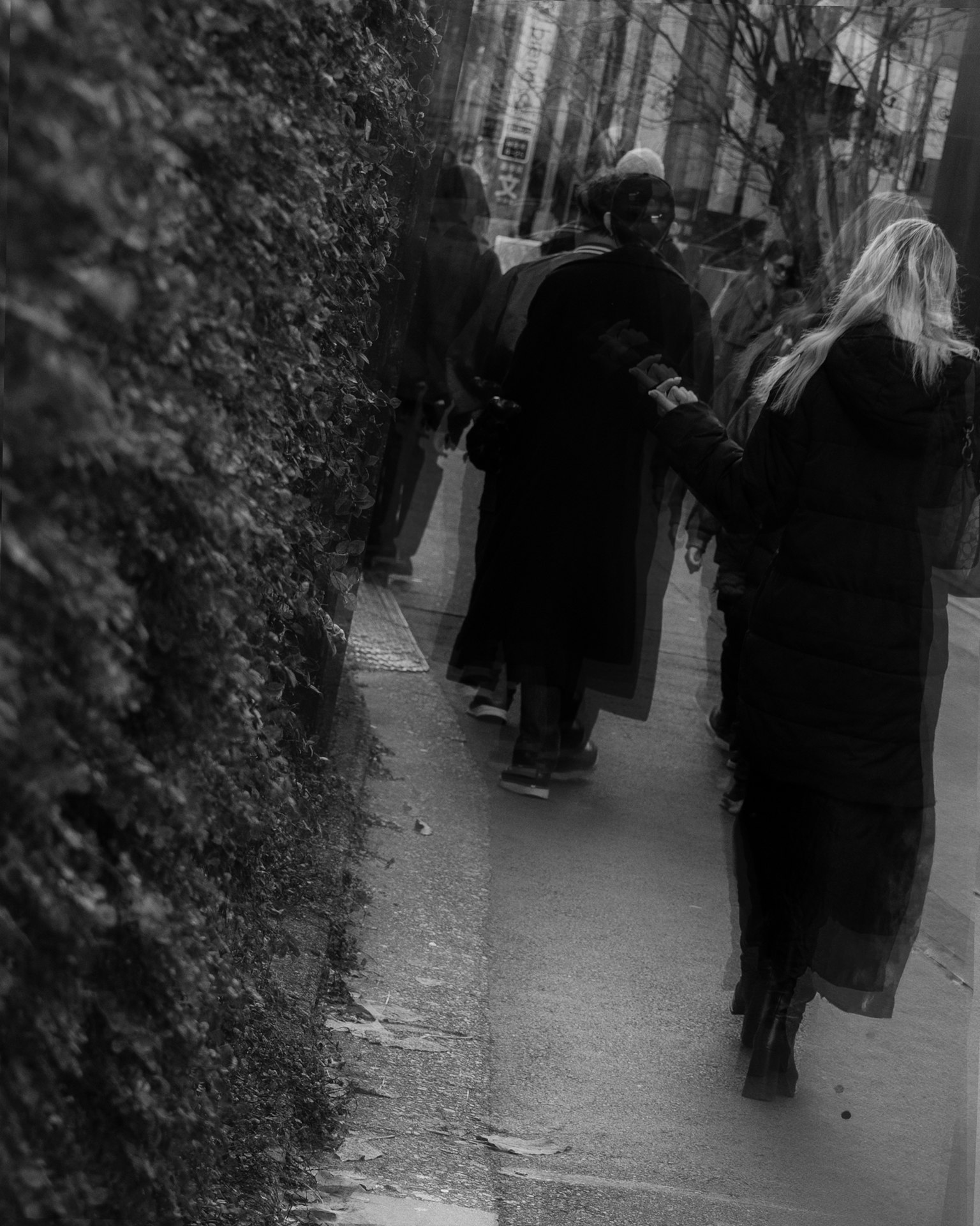 Personas caminando por un camino en blanco y negro con un seto verde