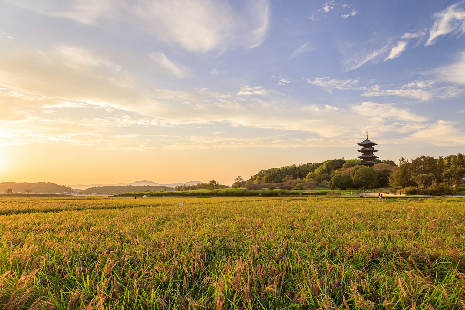Paesaggio rurale con una torre antica contro un tramonto
