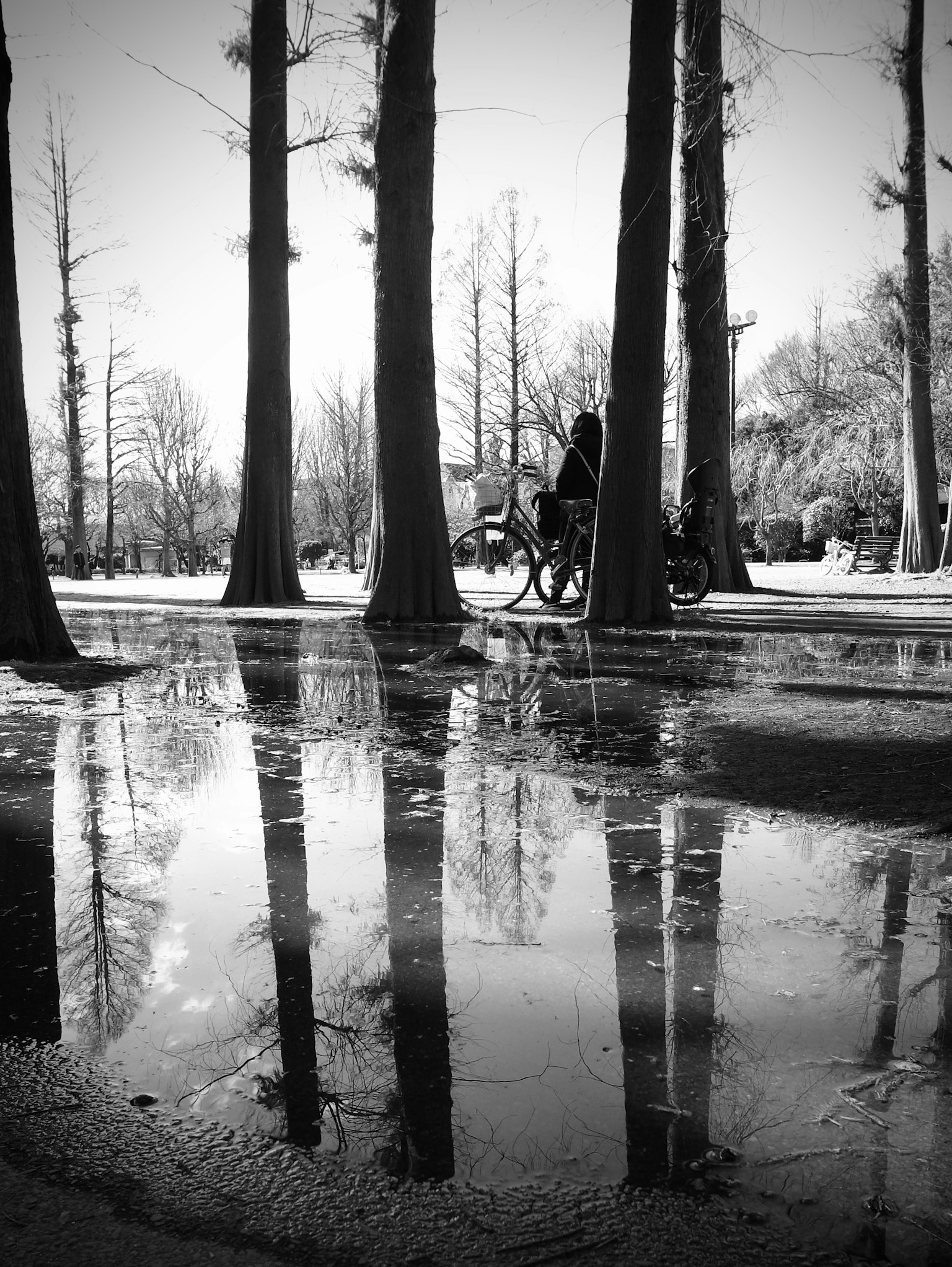 Paisaje en blanco y negro con árboles reflejados en un charco y una bicicleta