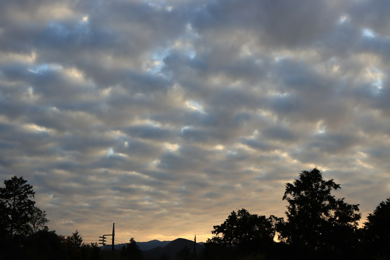 Dramatic sky with textured clouds at sunset and silhouetted trees