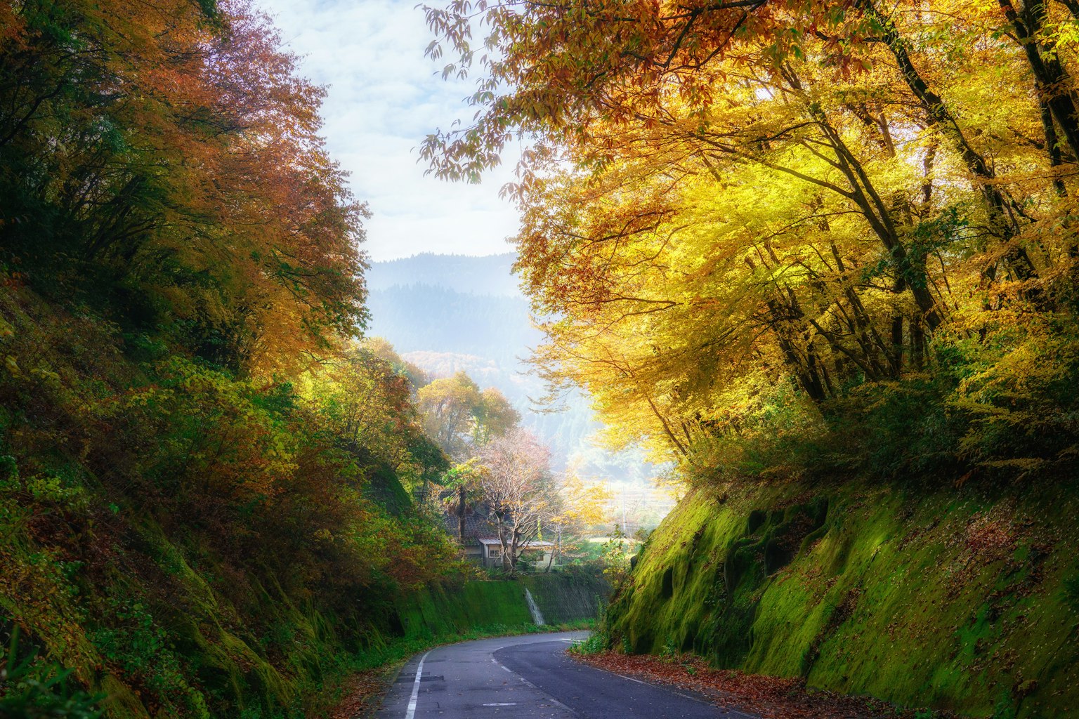 Paysage d'automne pittoresque avec une route sinueuse entourée d'arbres jaunes et verts vibrants