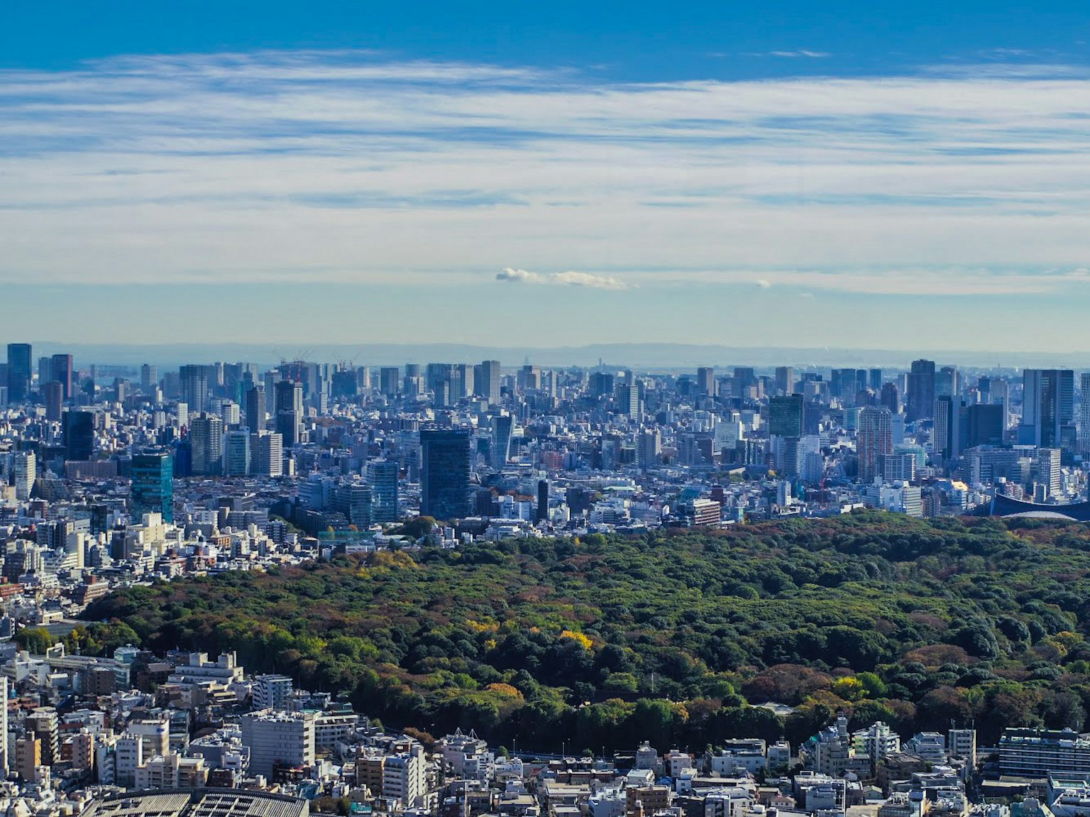 Vista panoramica del paesaggio urbano di Tokyo con un parco verdeggiante