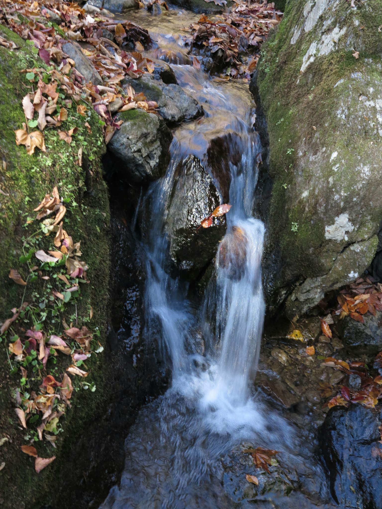 Un piccolo ruscello che scorre tra le rocce con foglie sparse