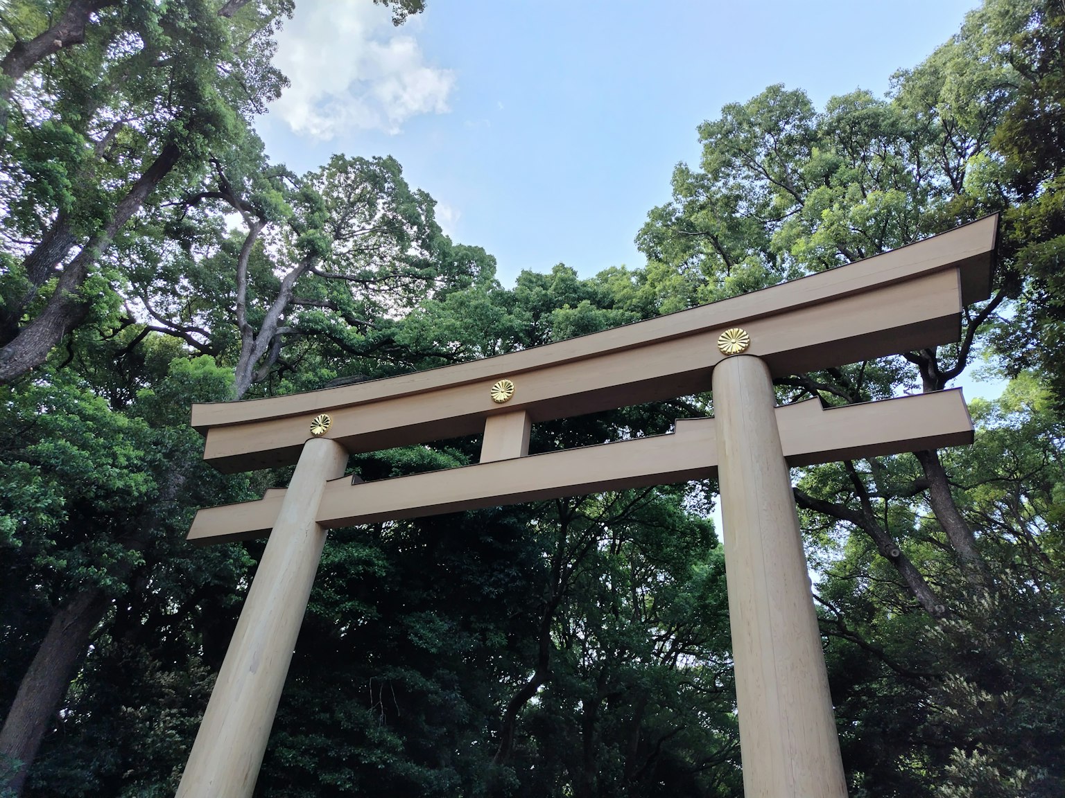 Cổng torii dưới bầu trời xanh bao quanh bởi cây xanh
