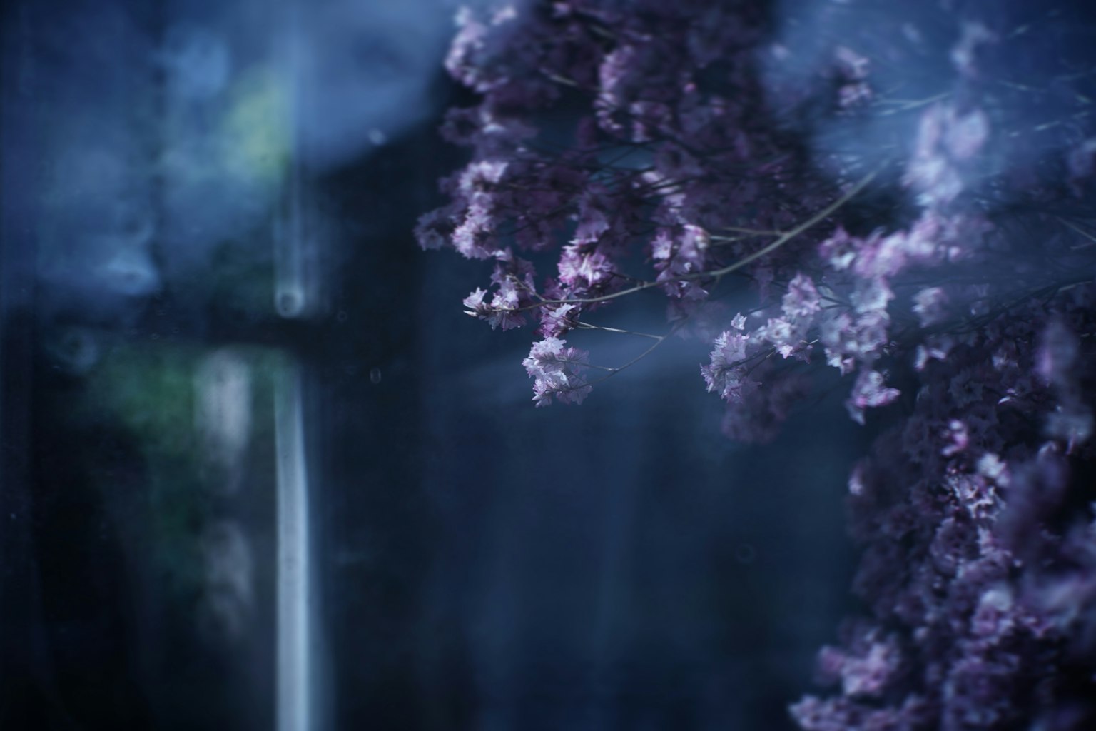 一幅夢幻的圖像，紫色花朵映襯在藍色背景上