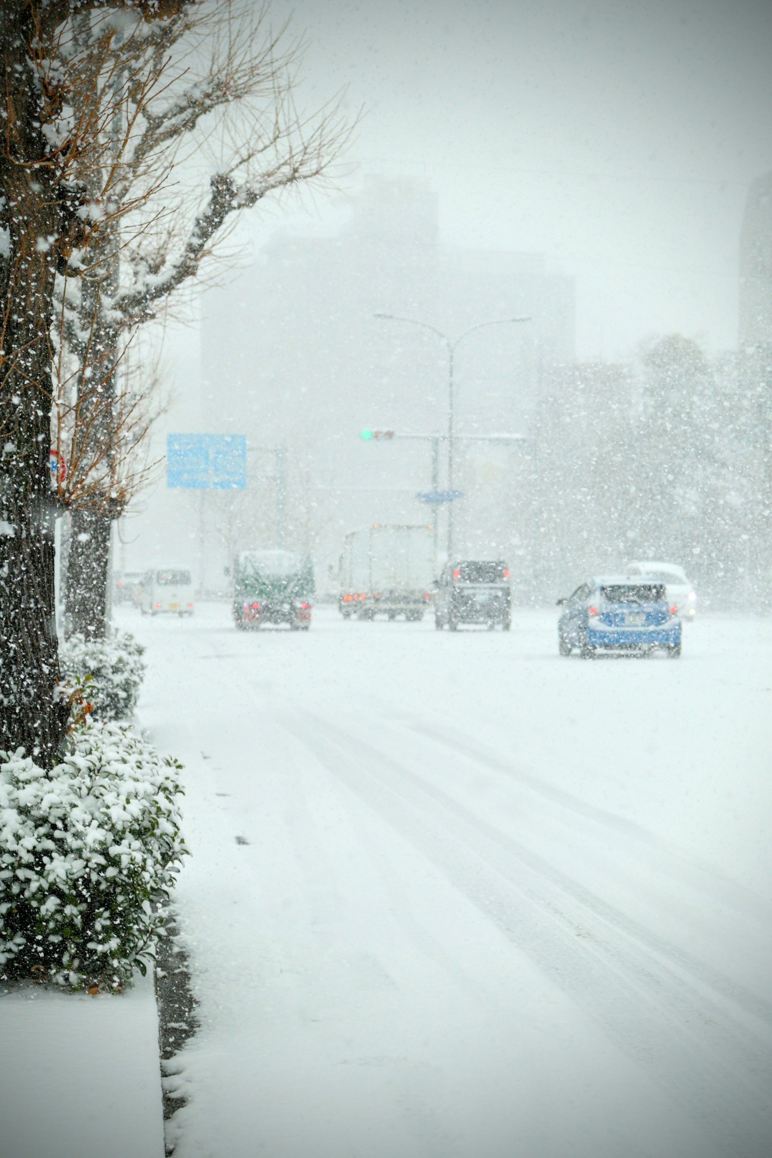 被雪覆盖的街道场景，汽车在大雪中行驶